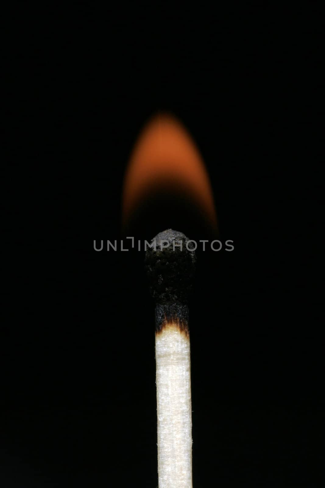 Burning Flame On A Single Matchstick On A Black Background