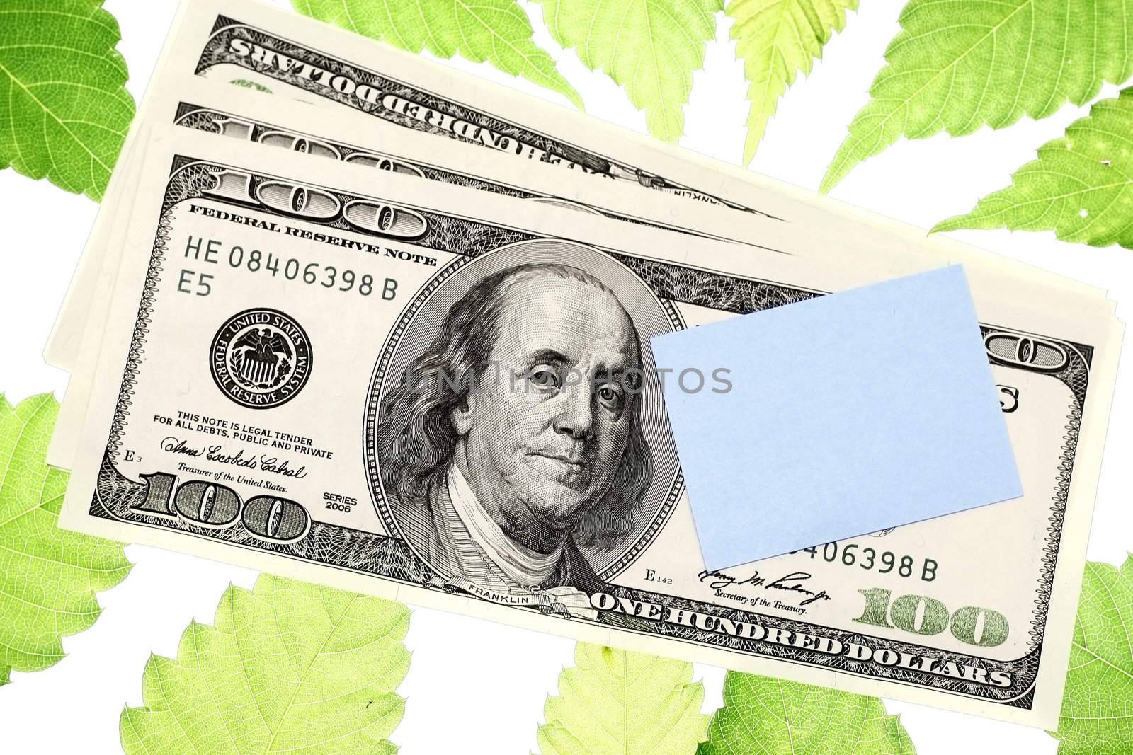 post it note on dollar in a leaf frame background