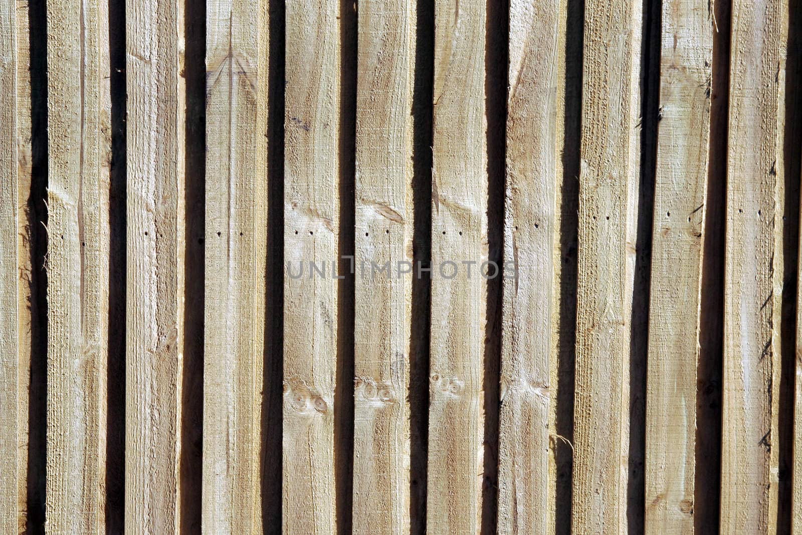 Wood Fence by thorsten