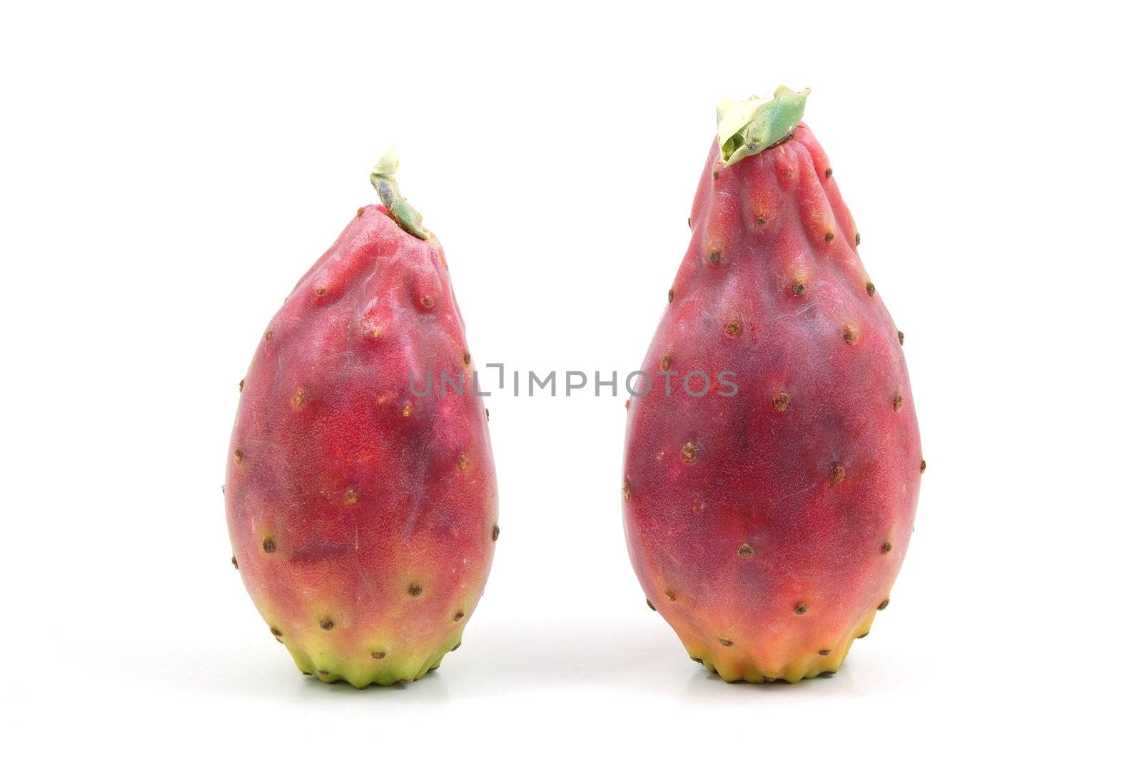Dragon fruit isolated on a white background.