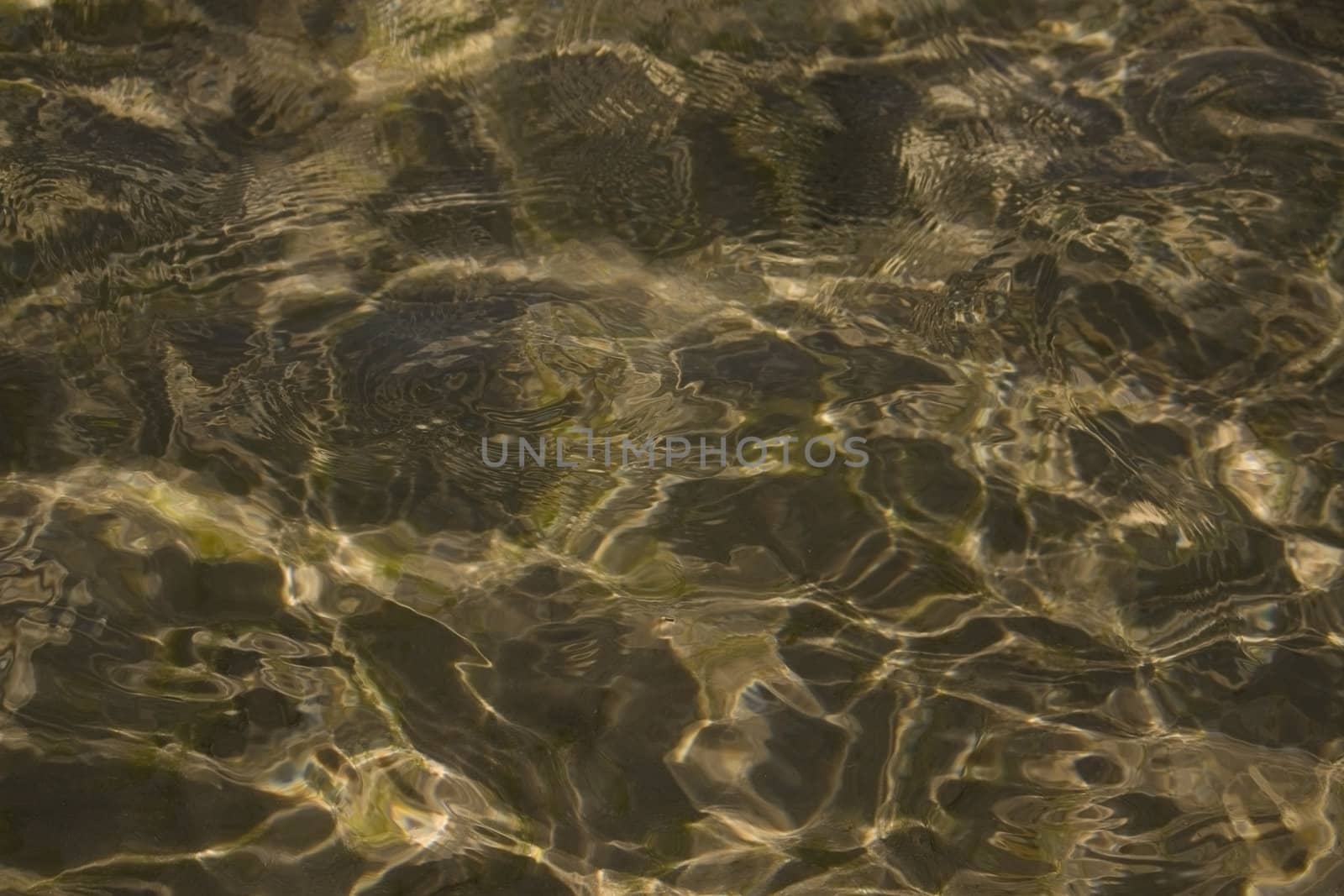 This unusual background is a rocky sea bottom under water.