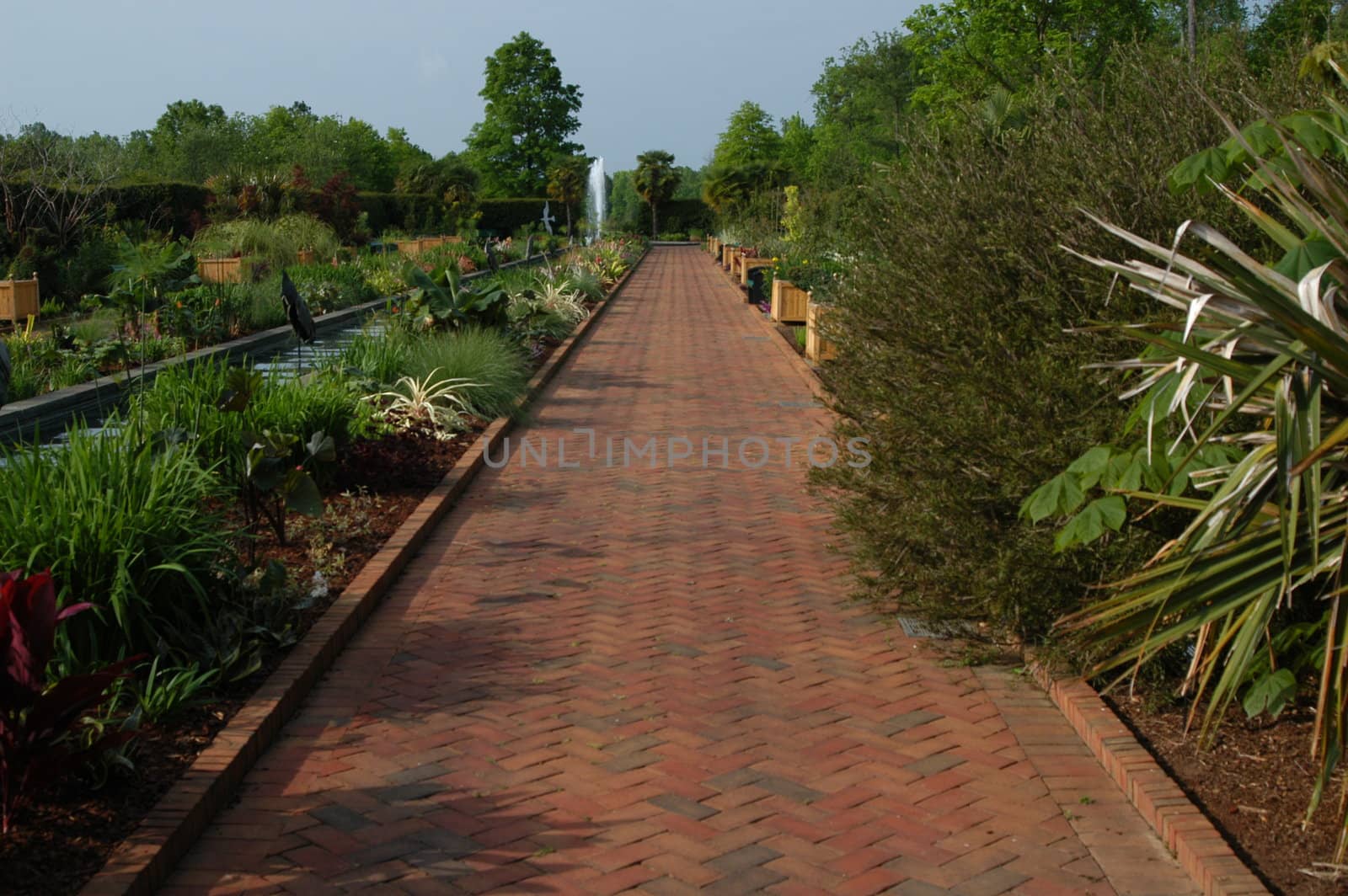 Garden walk by northwoodsphoto