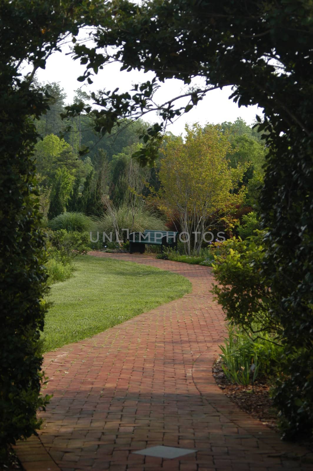 A red brick garden walk with plants in bloom