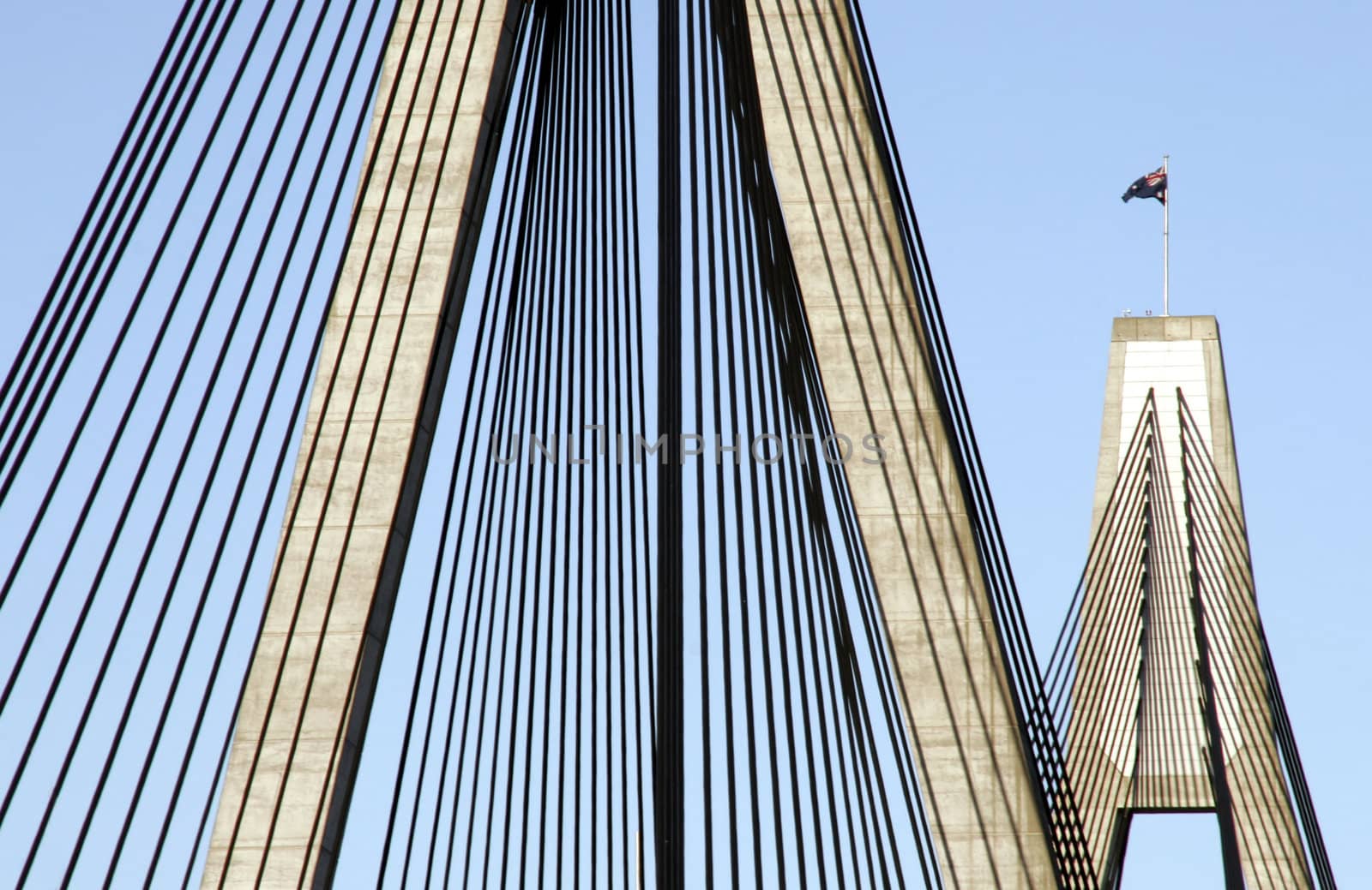 Anzac Bridge, Sydney, Australia: ANZAC Bridge is the longest cable-stayed bridge in Australia, and amongst the longest in the world.