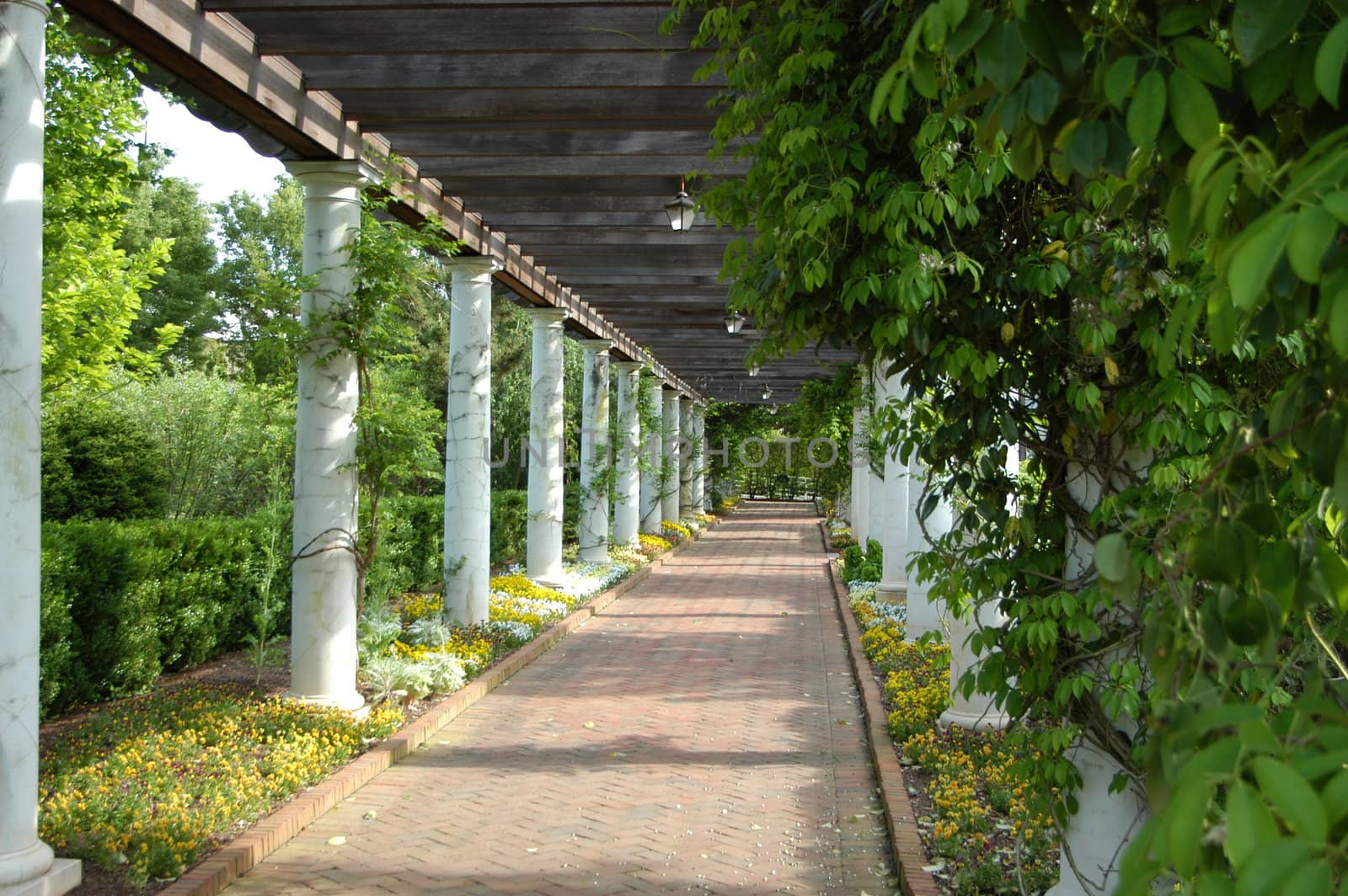 A covered red brick garden walk with plants in bloom