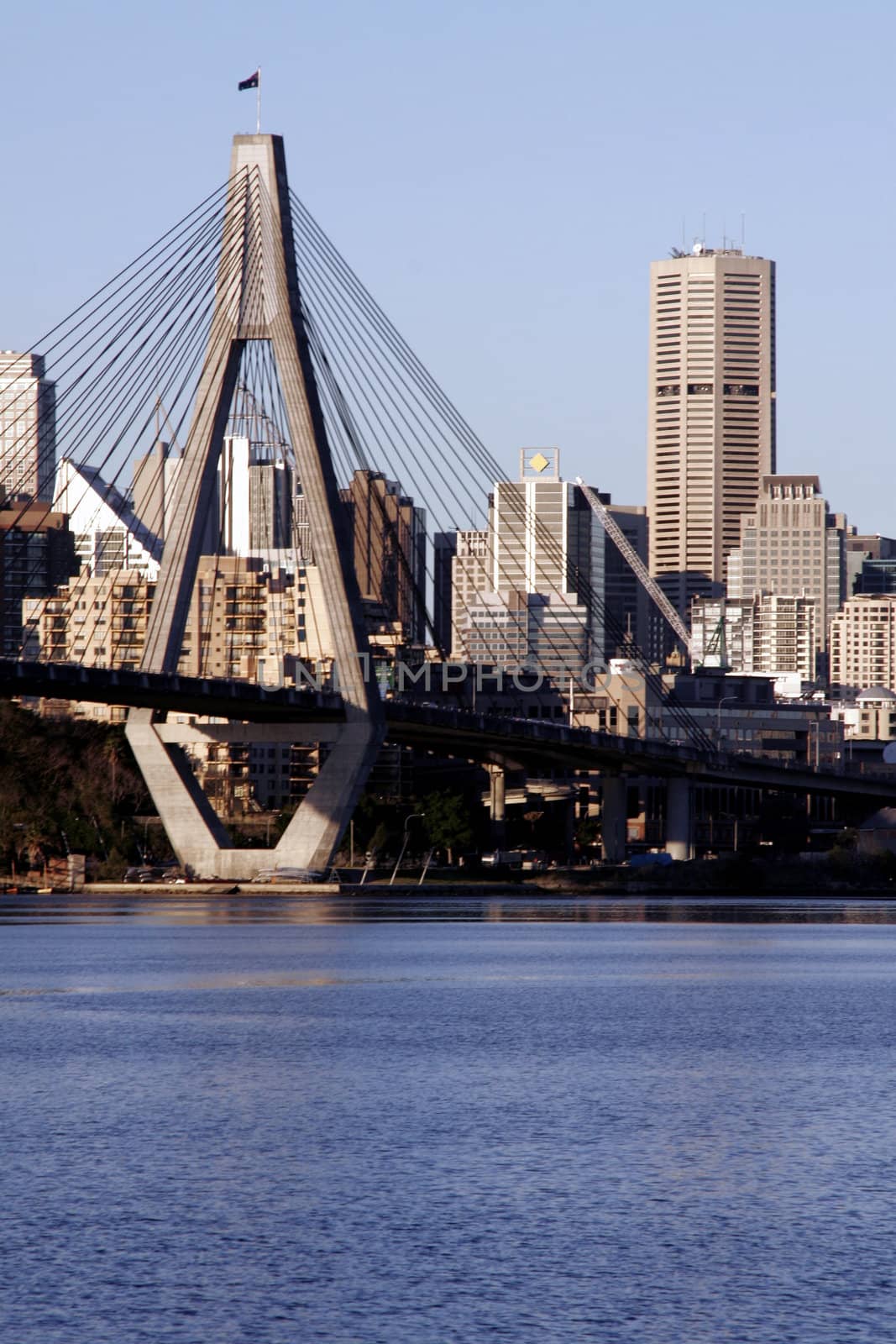 Anzac Bridge, Sydney, Australia: ANZAC Bridge is the longest cable-stayed bridge in Australia, and amongst the longest in the world.