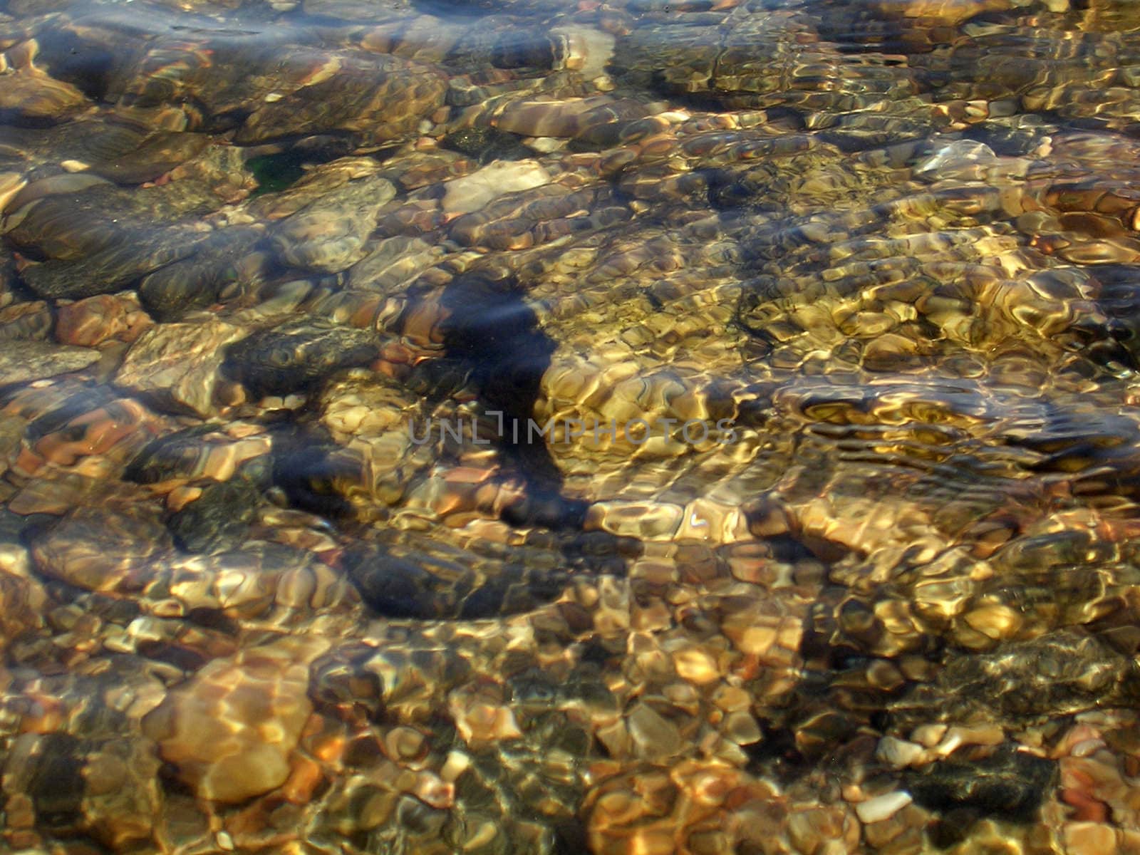 bottom stony