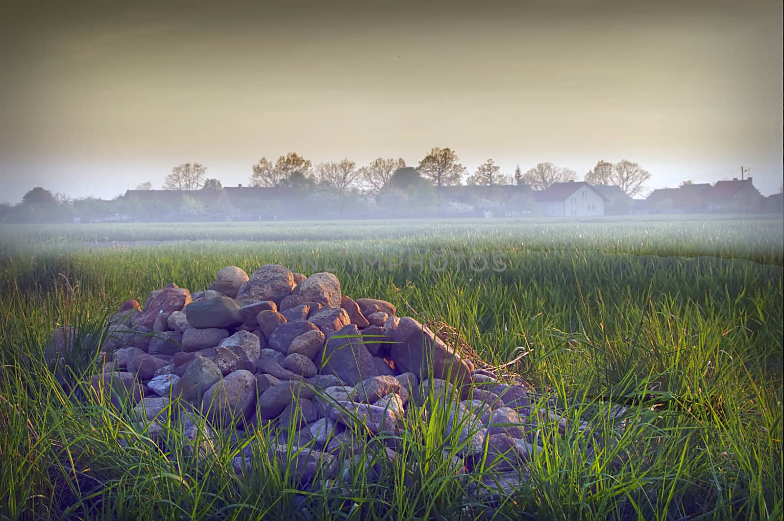 the stones in the grass near the village