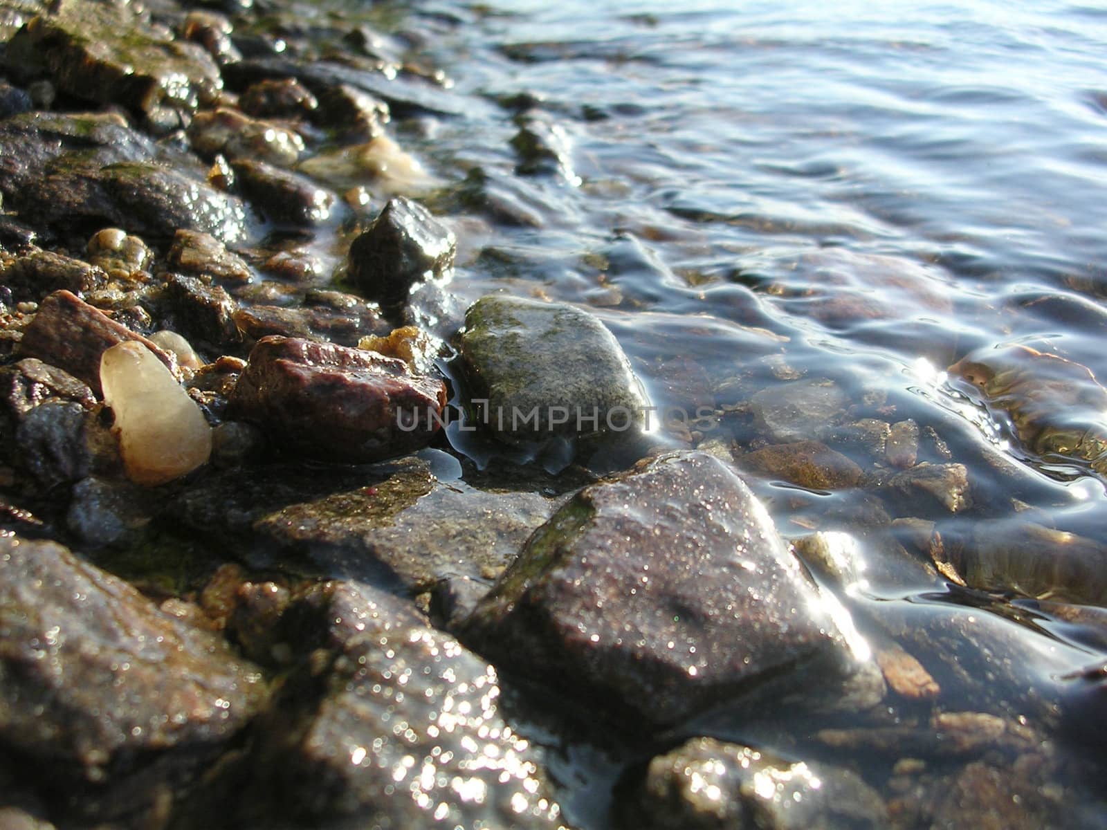 small stones in water, close-up