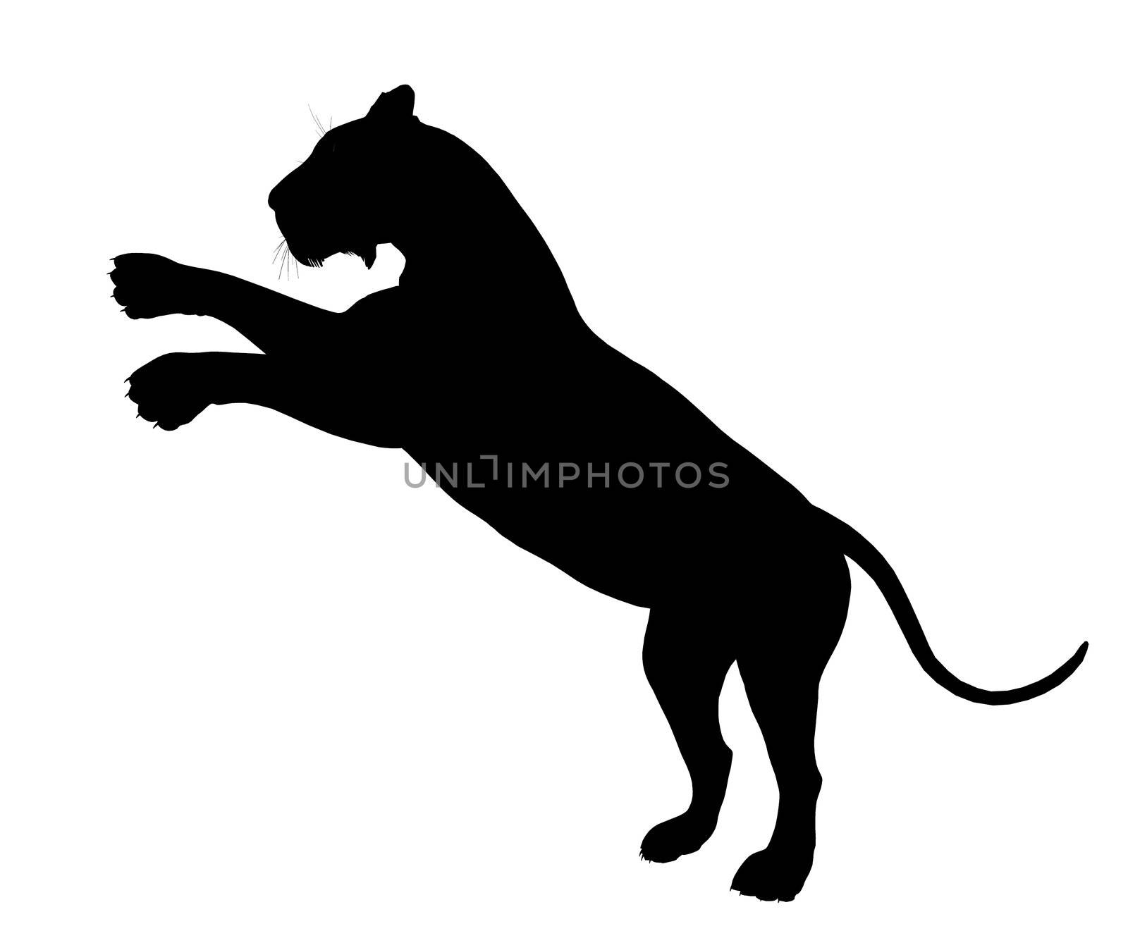 Black lion art illustration silhouette on a white background