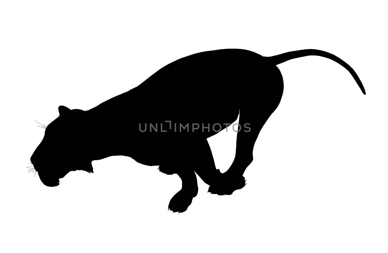 Black lion art illustration silhouette on a white background