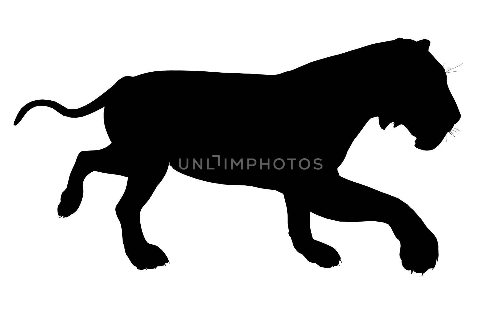 Black lion art illustration silhouette on a white background