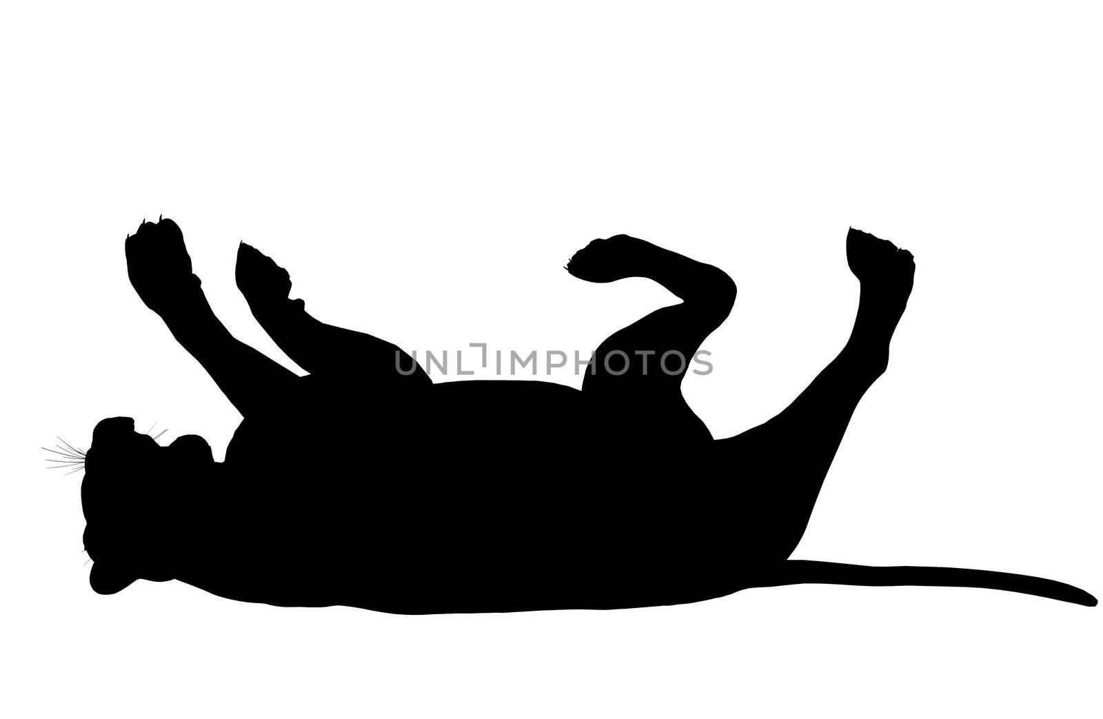 Black lion art illustration silhouette on a white background