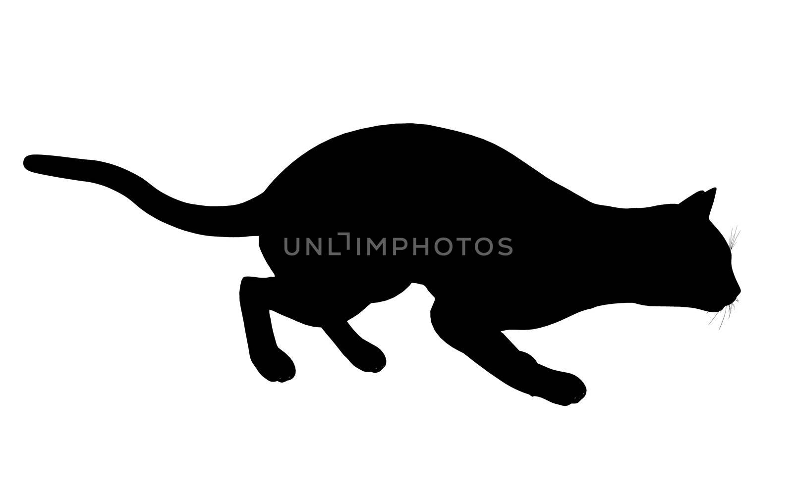 Cat Illustration Silhouette by kathygold