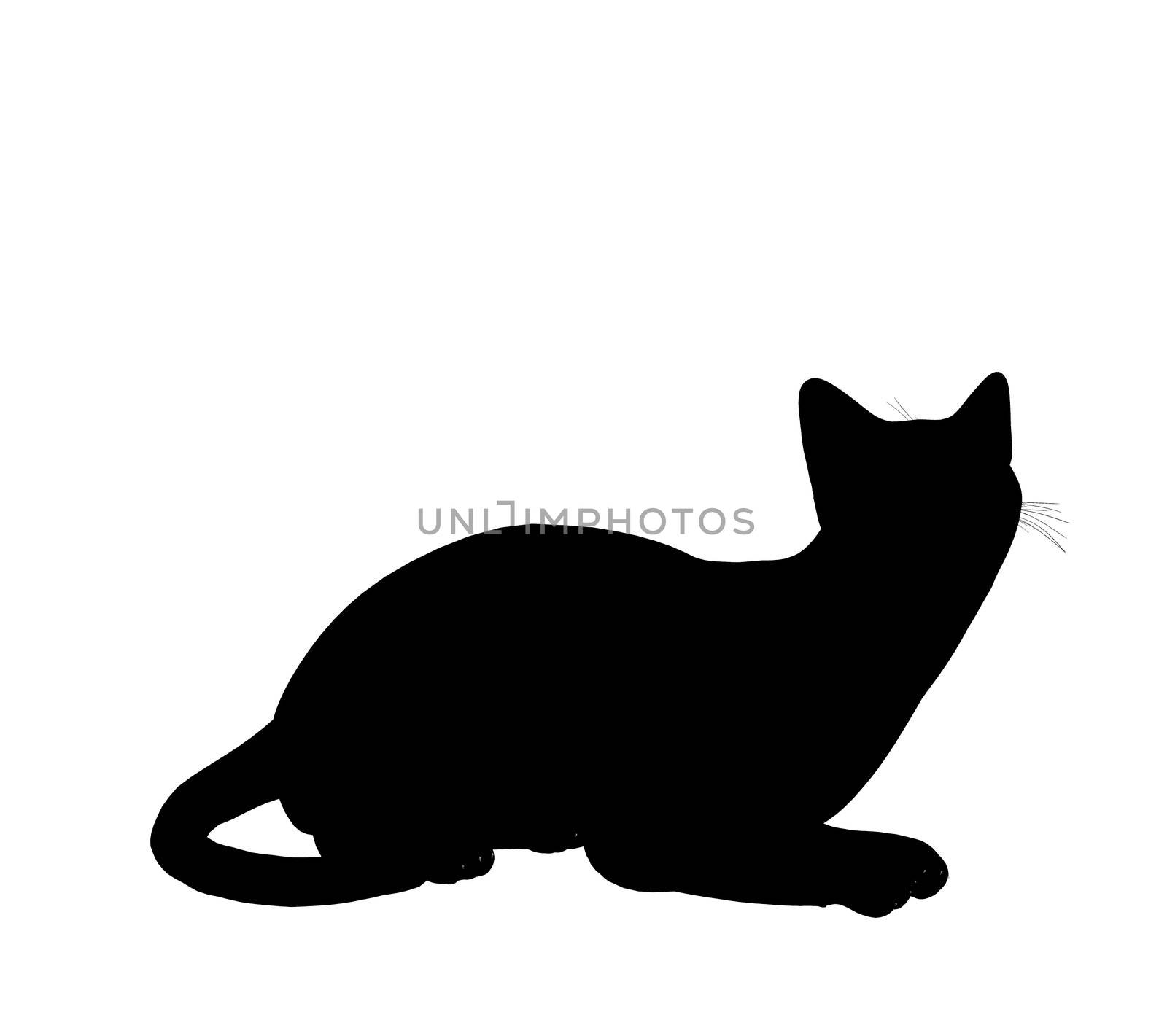 Black cat art illustration silhouette on a white background