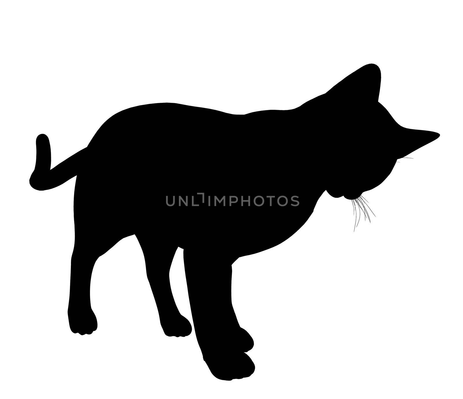 Black cat art illustration silhouette on a white background