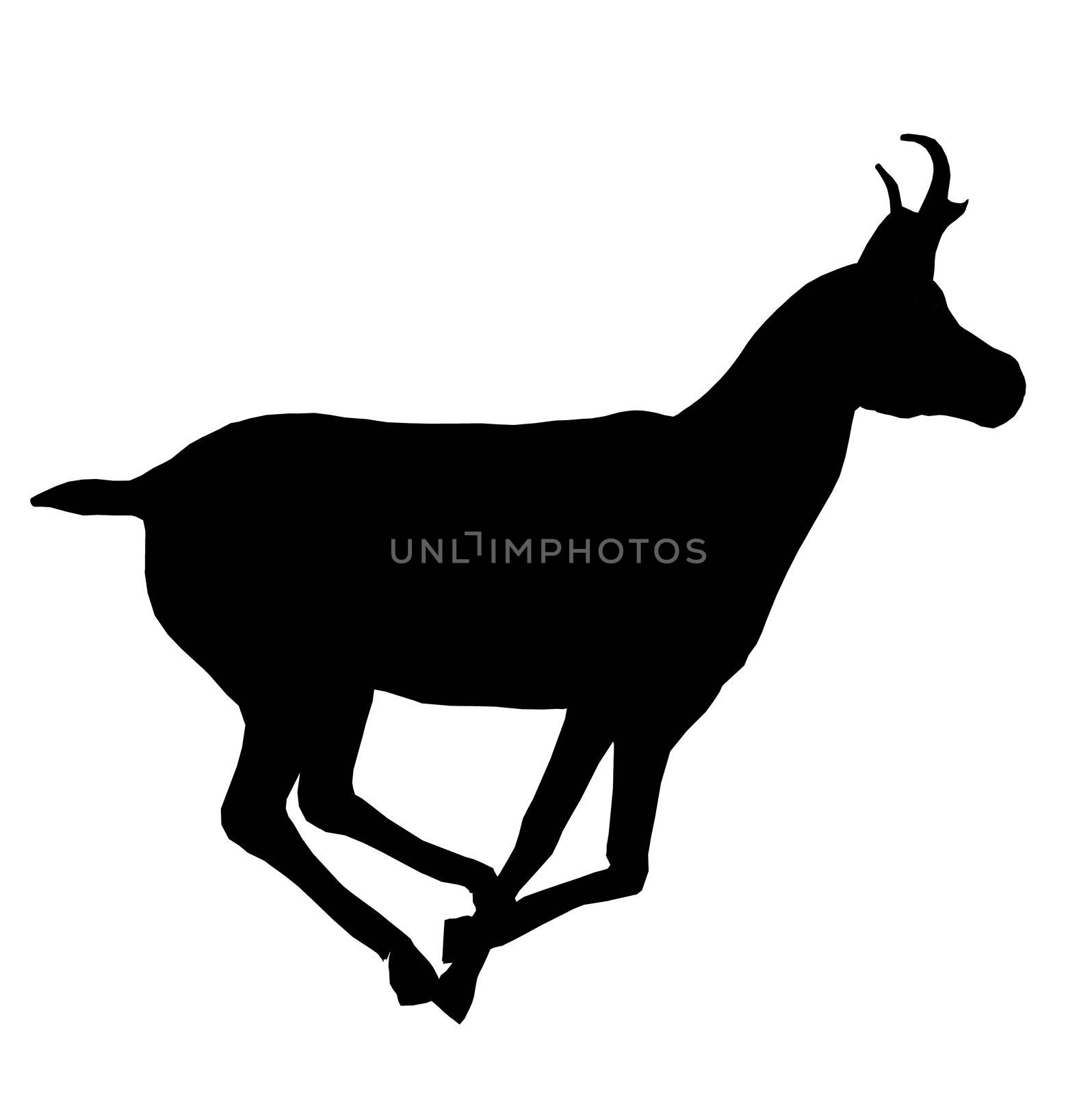 Black deer art illustration silhouette on a white background