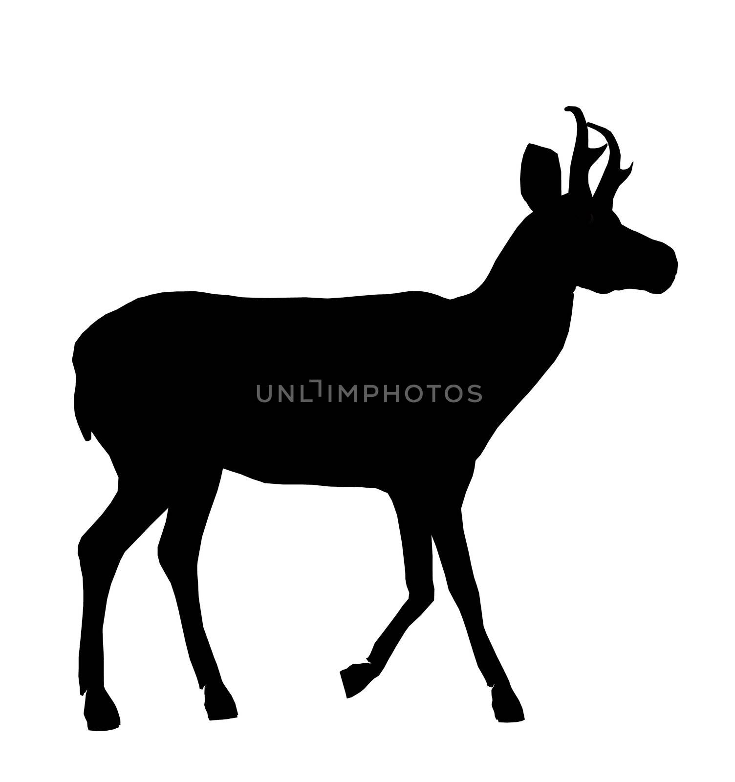 Black deer art illustration silhouette on a white background