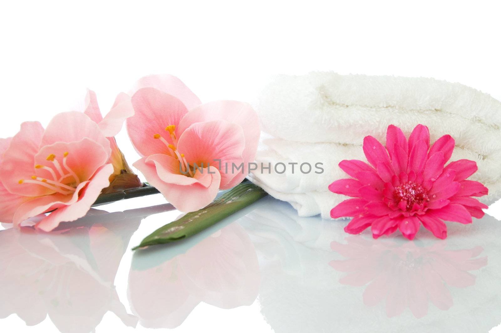 spa zen and wellness concept isolated on white background