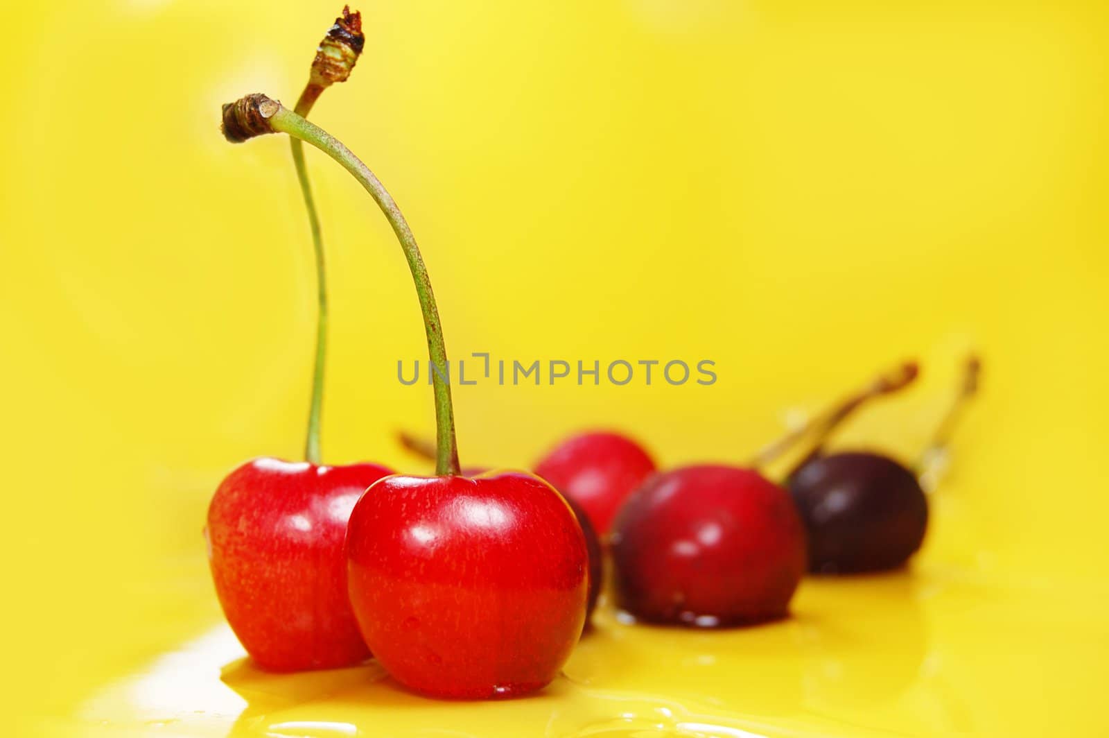 red cherries on yellow background