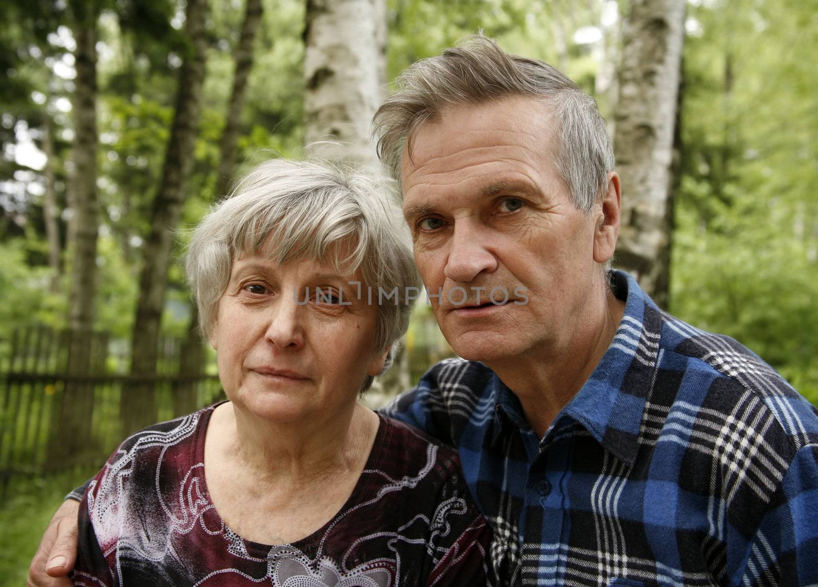 Portrait of elderly pair against birches