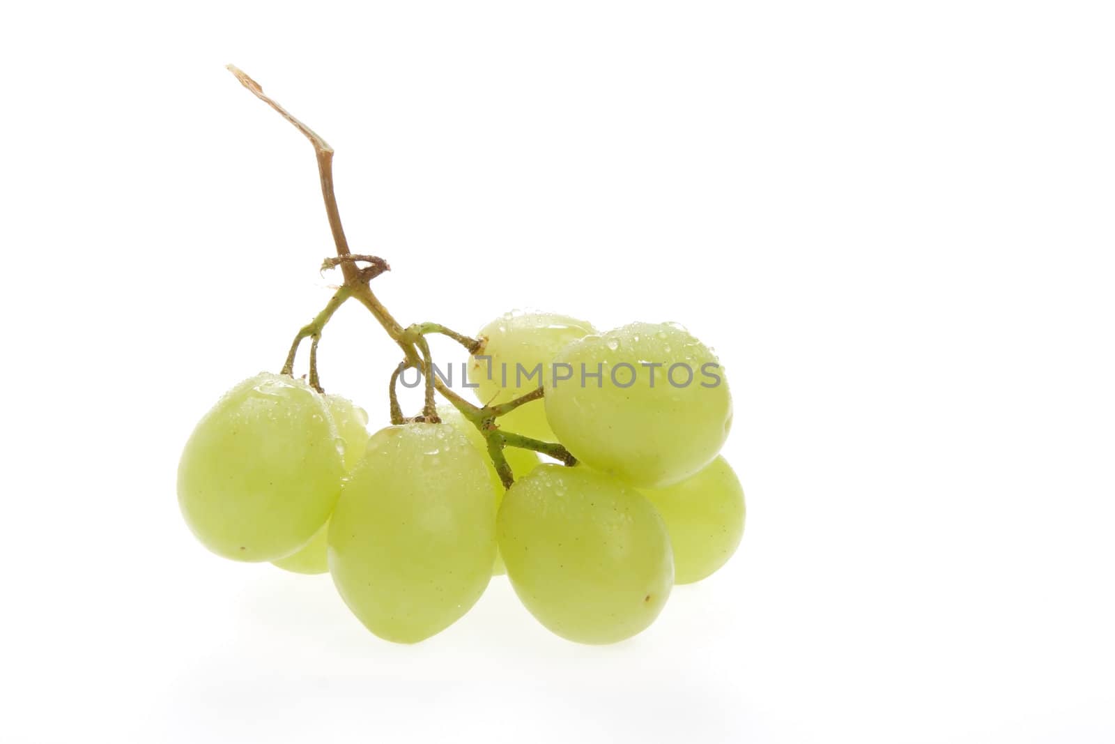 Fruits, Grape by Astroid
