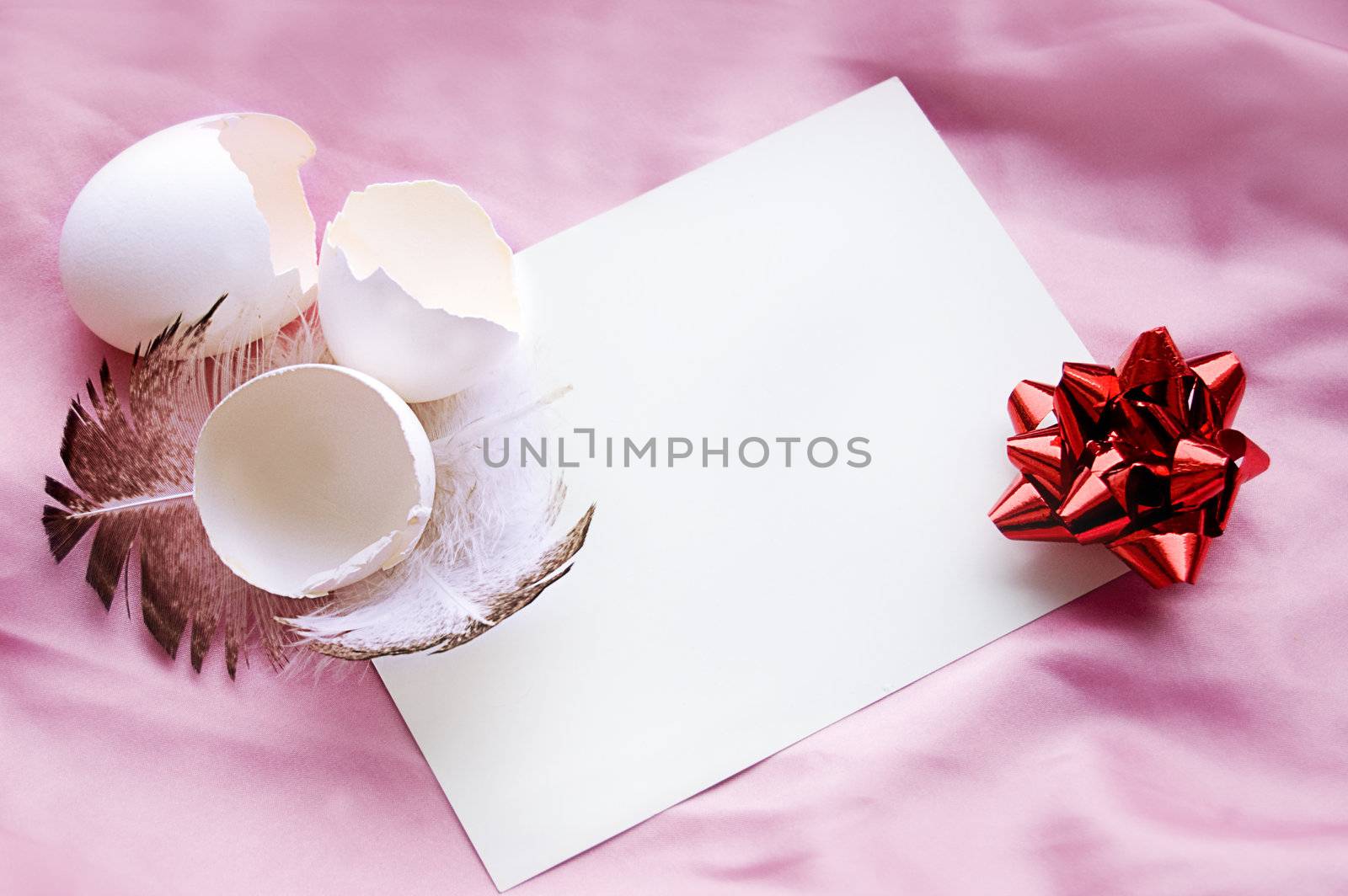 Easter greeting card of eggs and feather on pink background