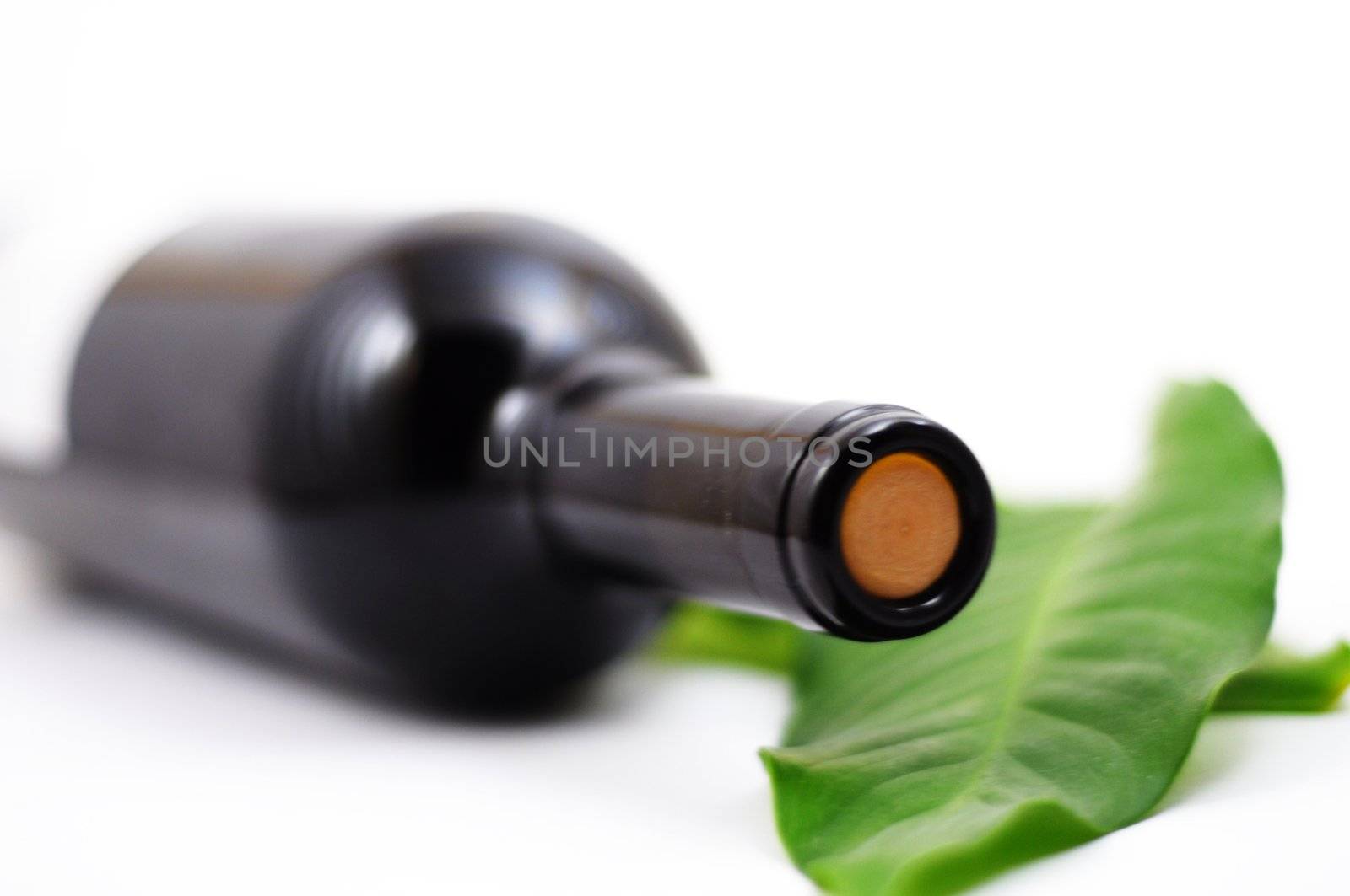 wine and copyspace on white with green leaves