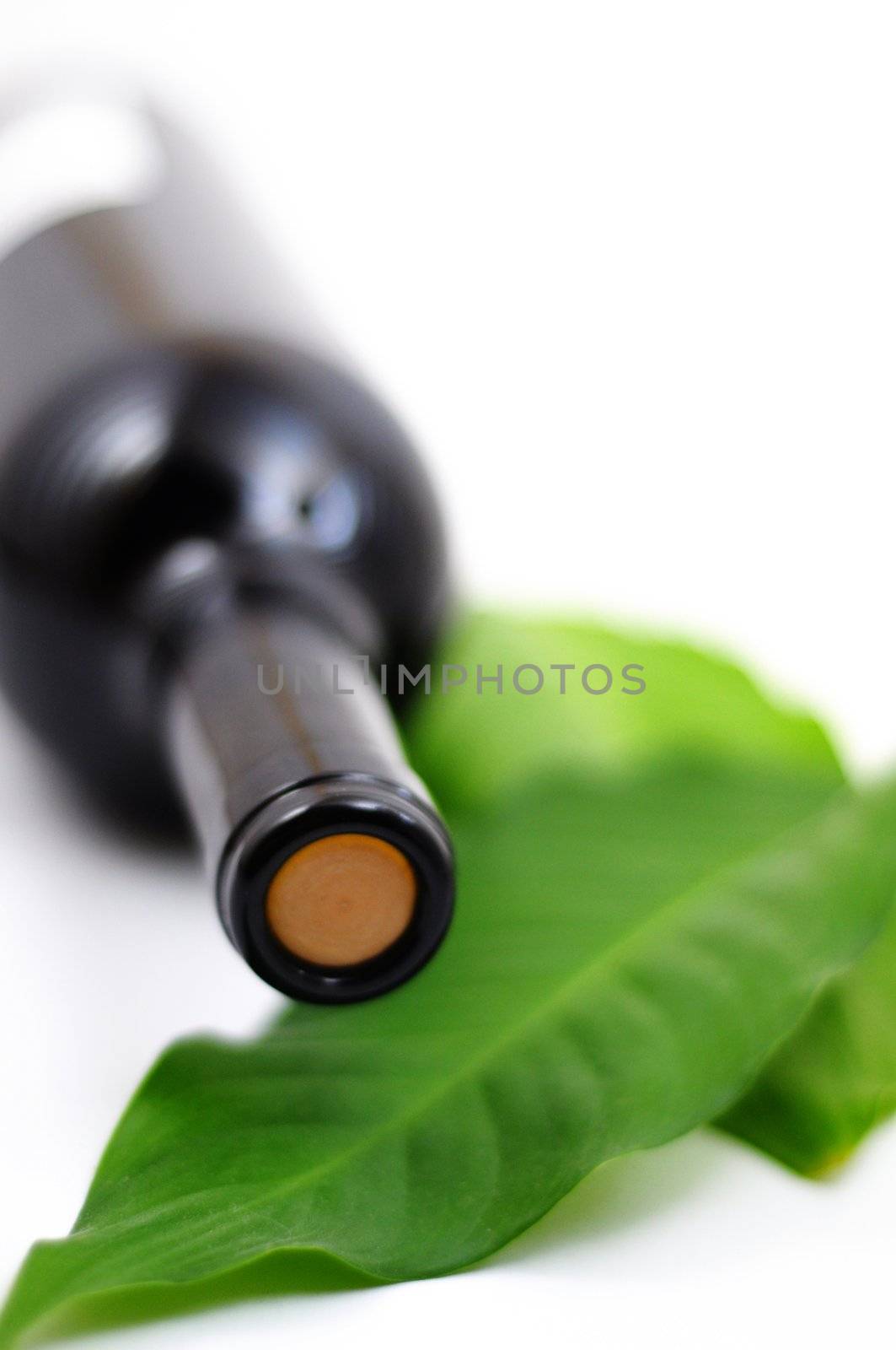 bottle of wine isolated on white background with copyspace