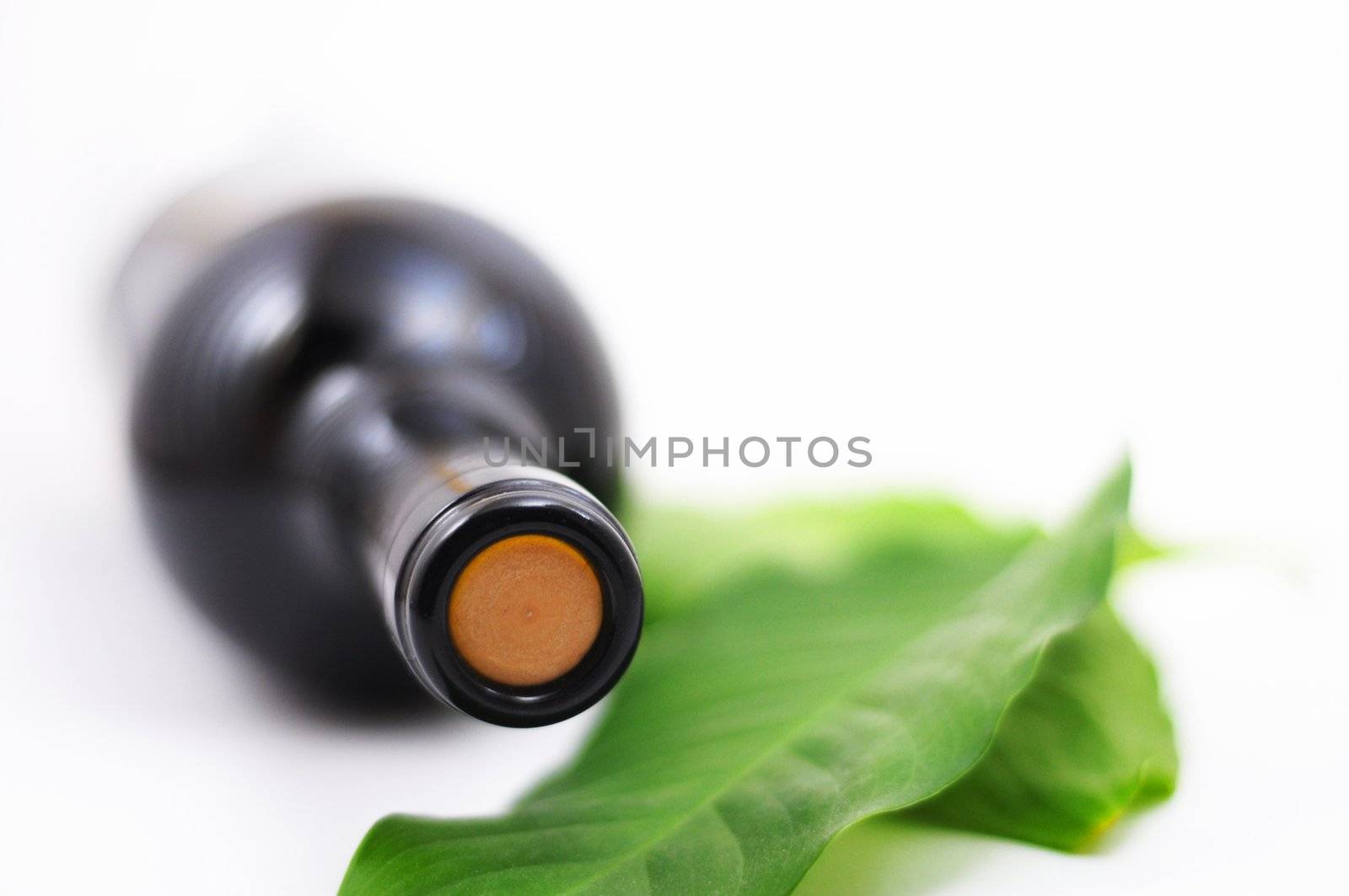 wine and copyspace on white with green leaves