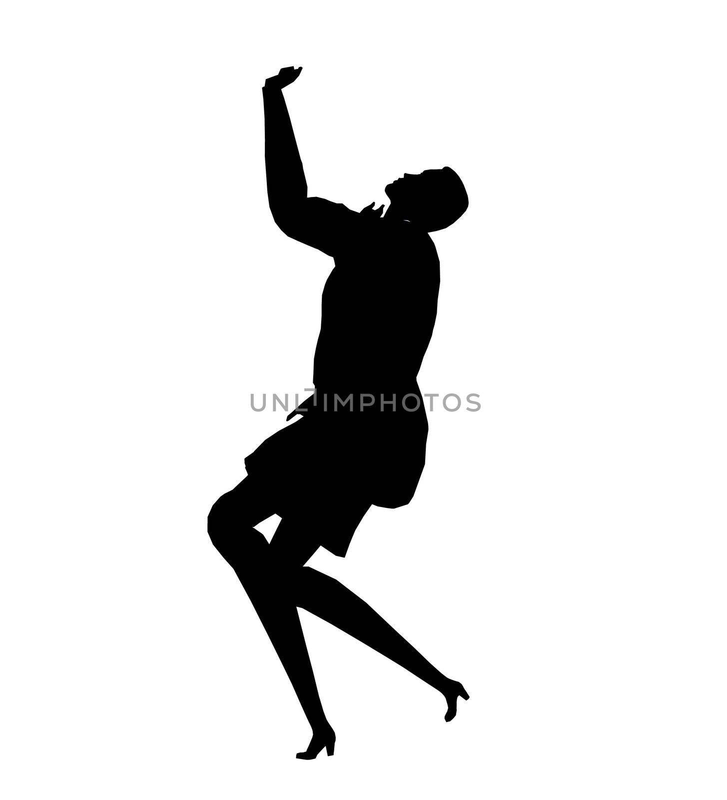 Female business executive silhouette on a white background