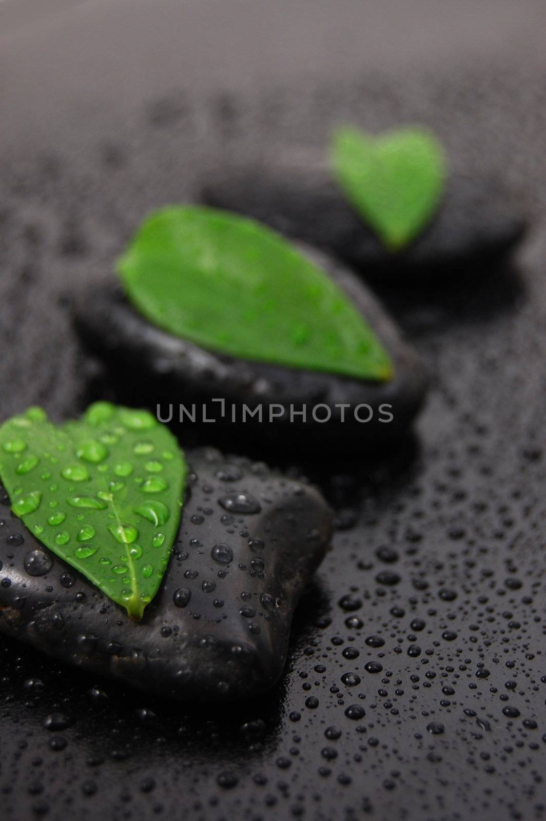 wellness massage or bath concept with zen stones leafes and water drop