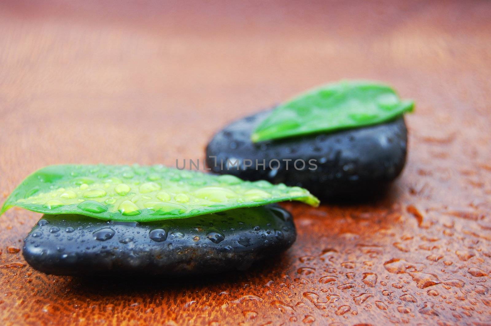zen stones and leaves showing a wellness or bath concept