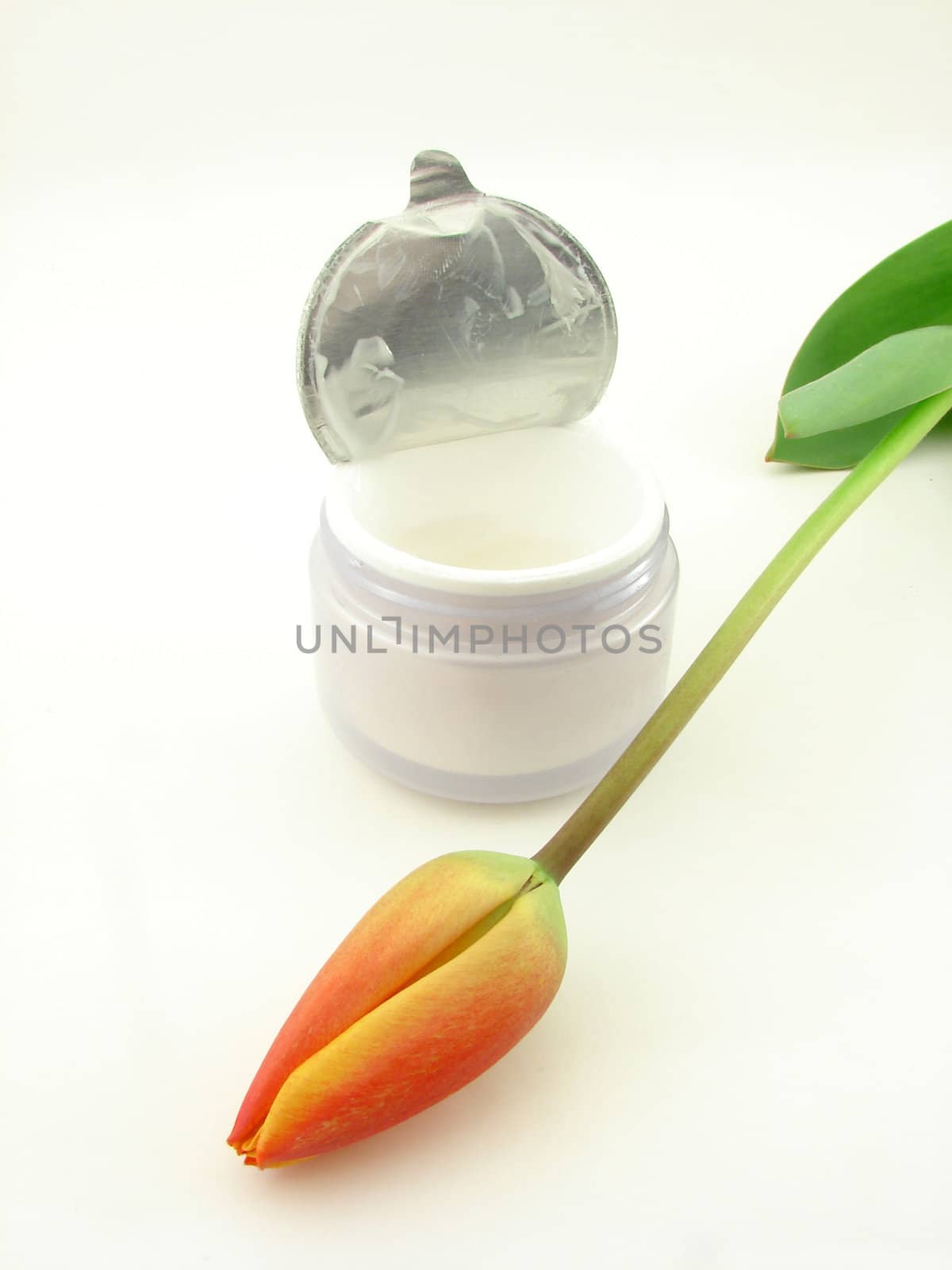 Tulips and cream isolated over white, concept of beauty.