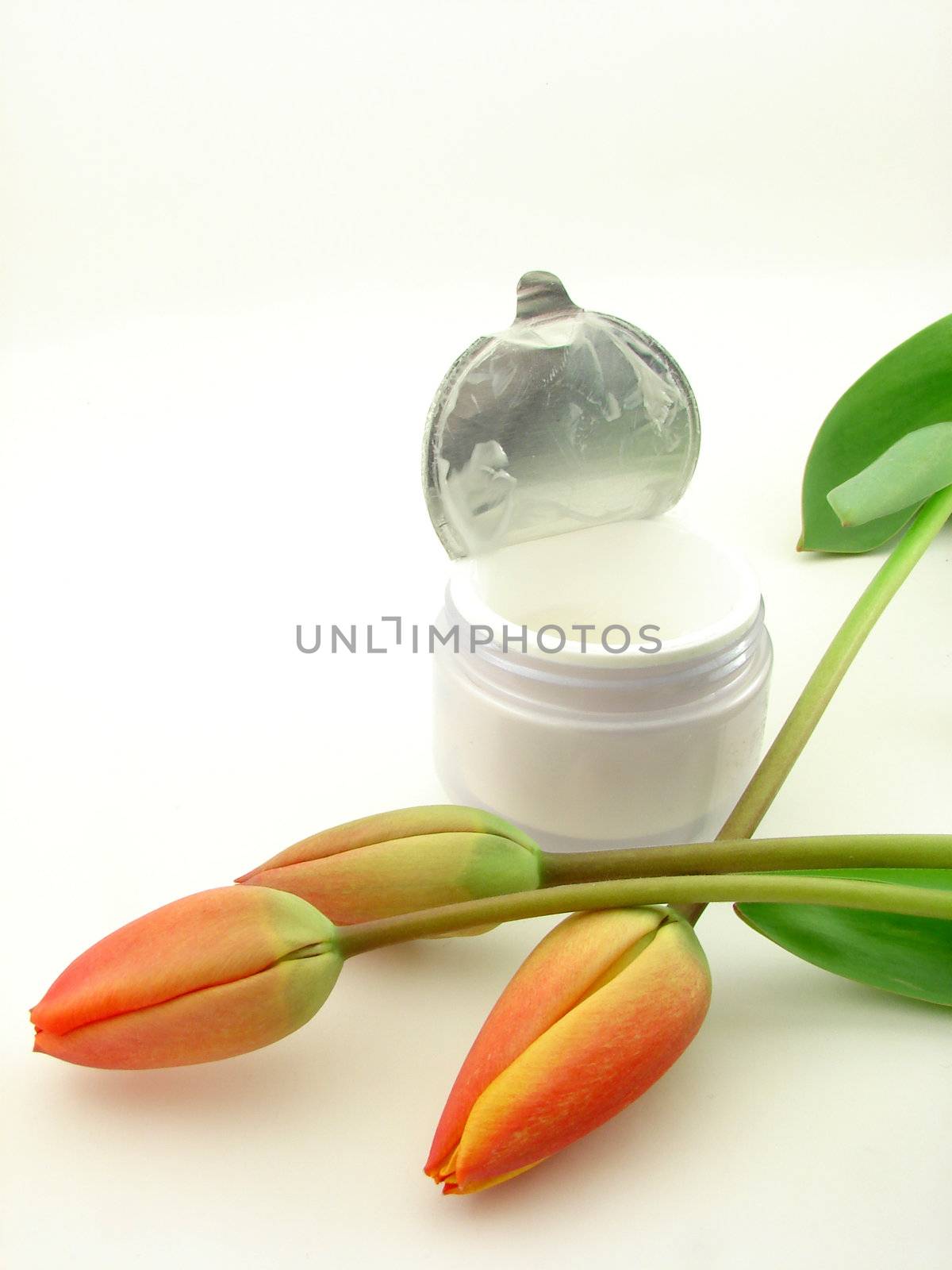 Tulips and cream isolated over white, concept of beauty.