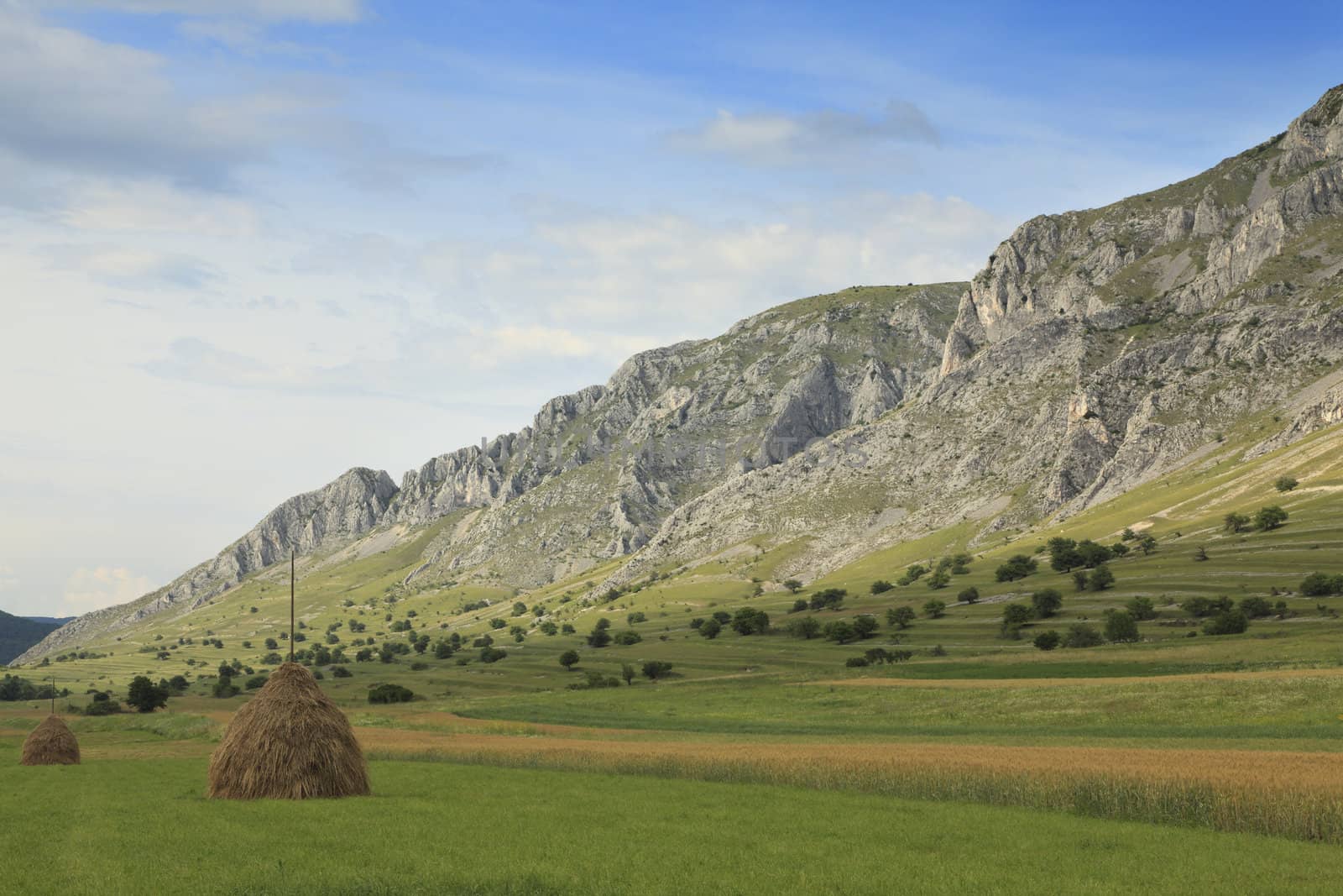 Mountaineous landscape with fields and hayricks.