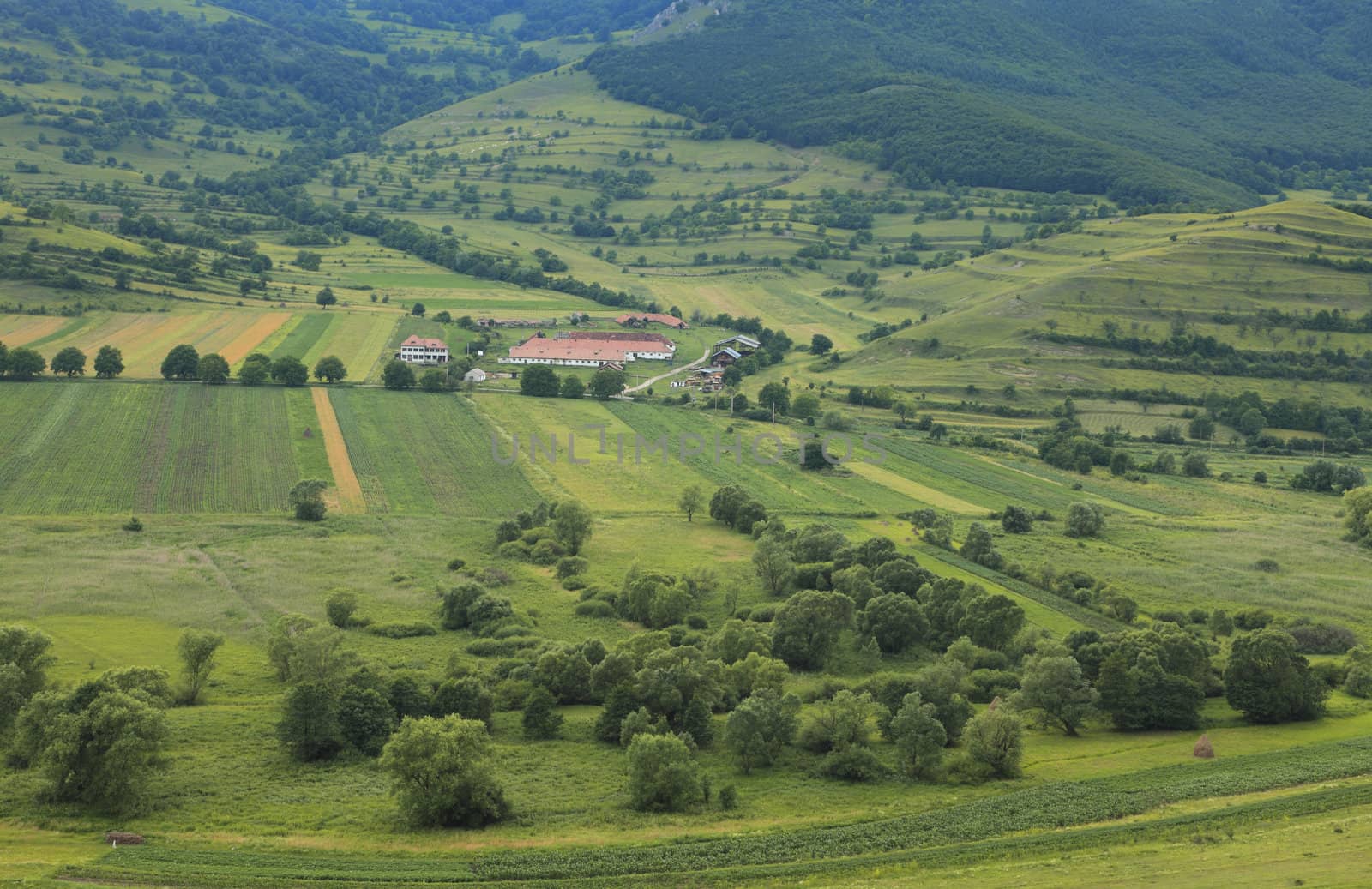 A farm in the middle of beautiful green mountains in summer.Location:Bedeleu Mountains,Transylvania,Romania.