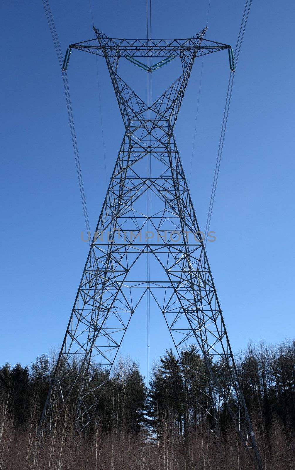 Huge high voltage electricity pylon in the forest.