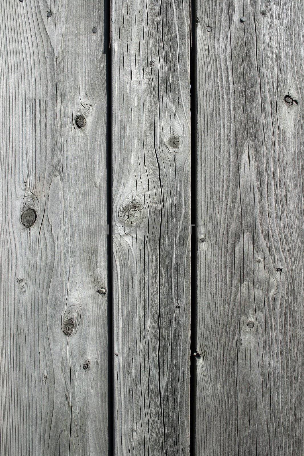 Unpainted wooden planks. Knotty wood texture background.