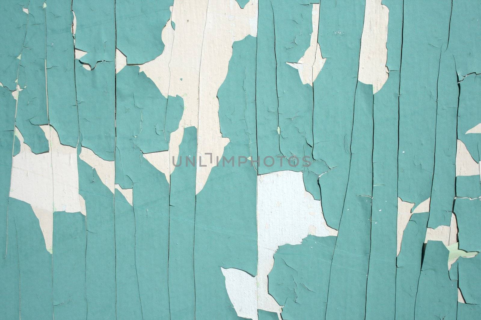 Green peeling paint background � detail of a wall.
