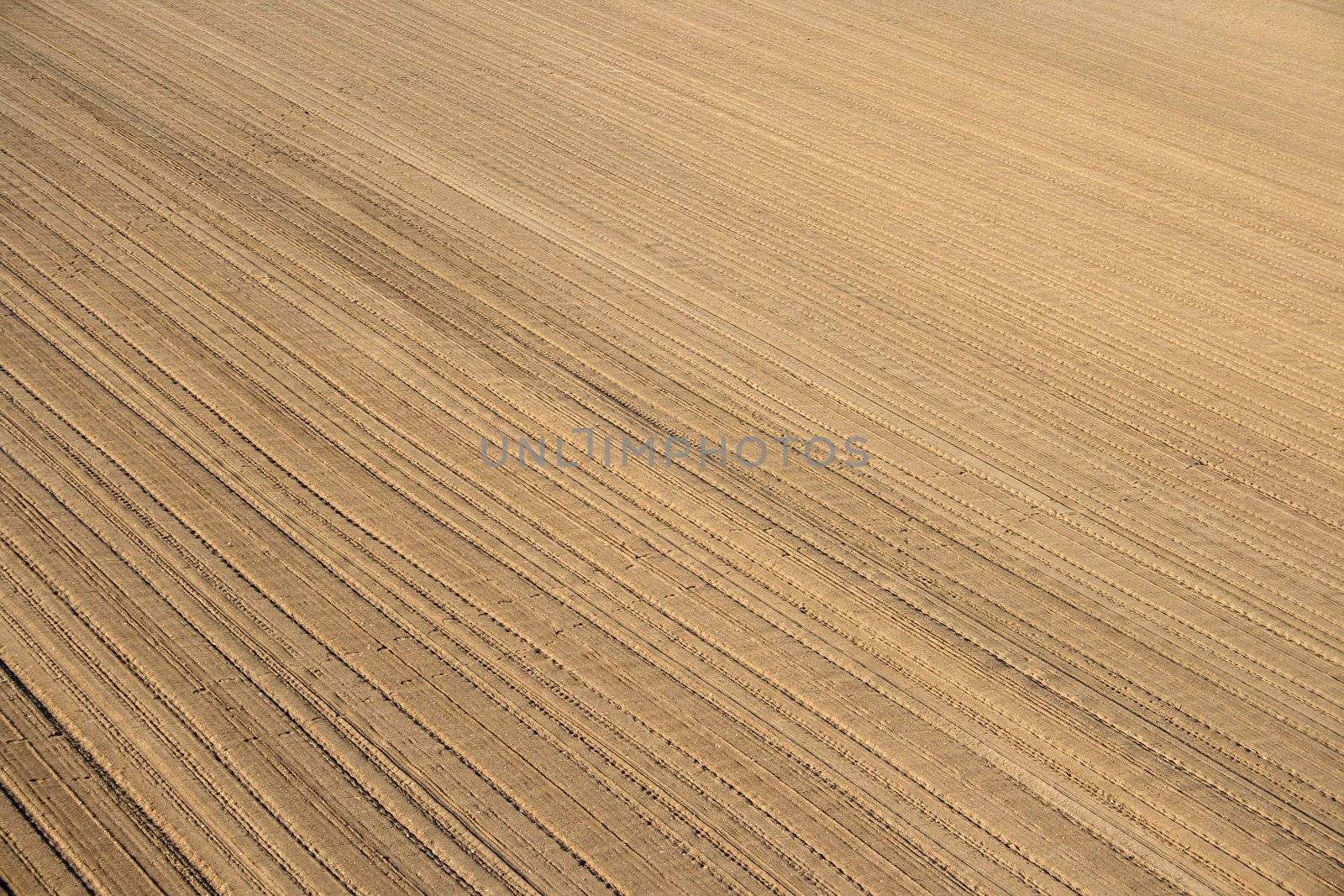Soil background. Ploughed land ready for cultivation.