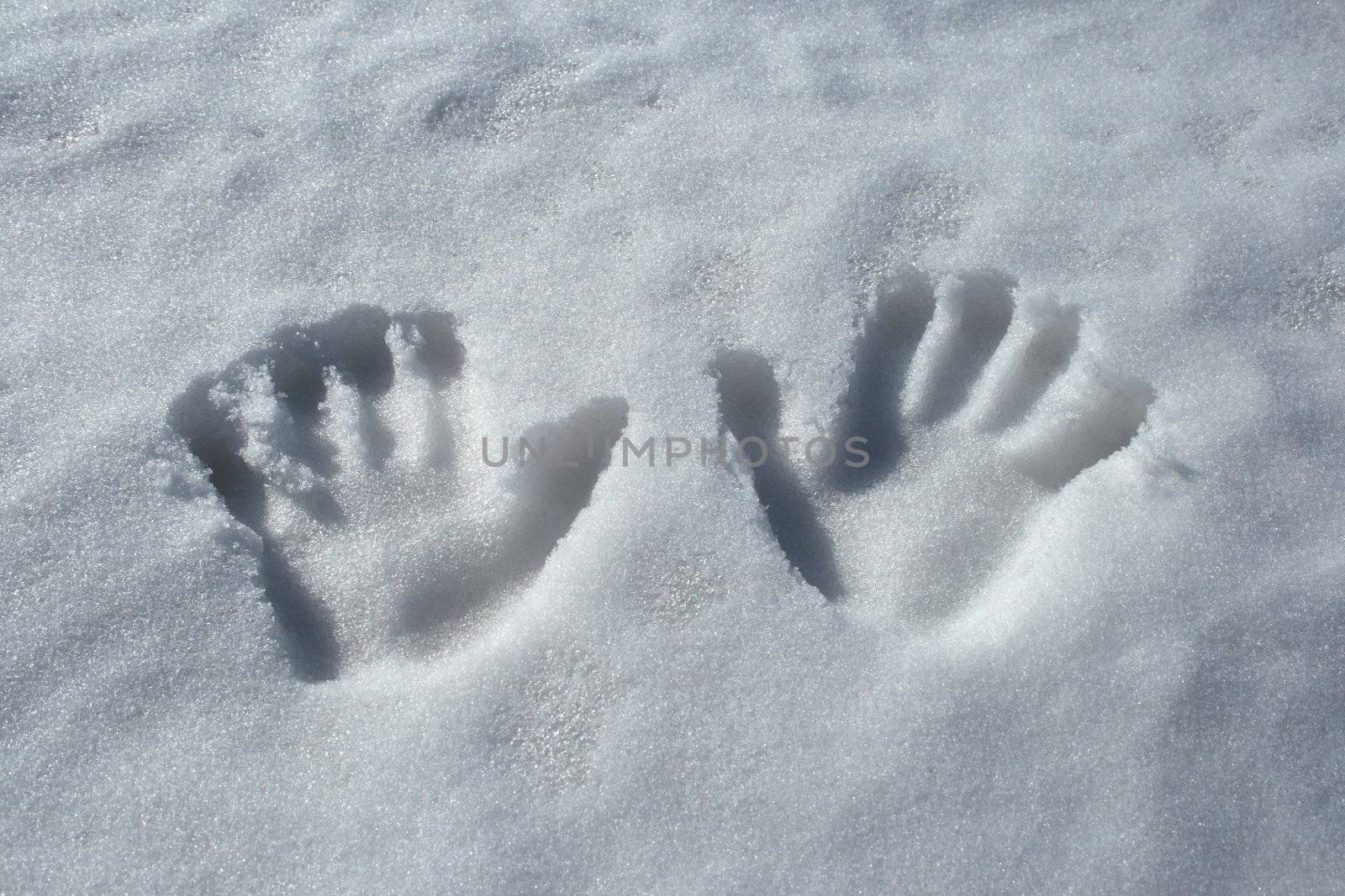 Handprints in the snow by anikasalsera