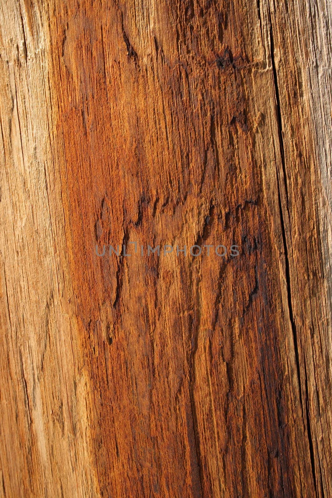 Cracked wood texture of warm orange color.