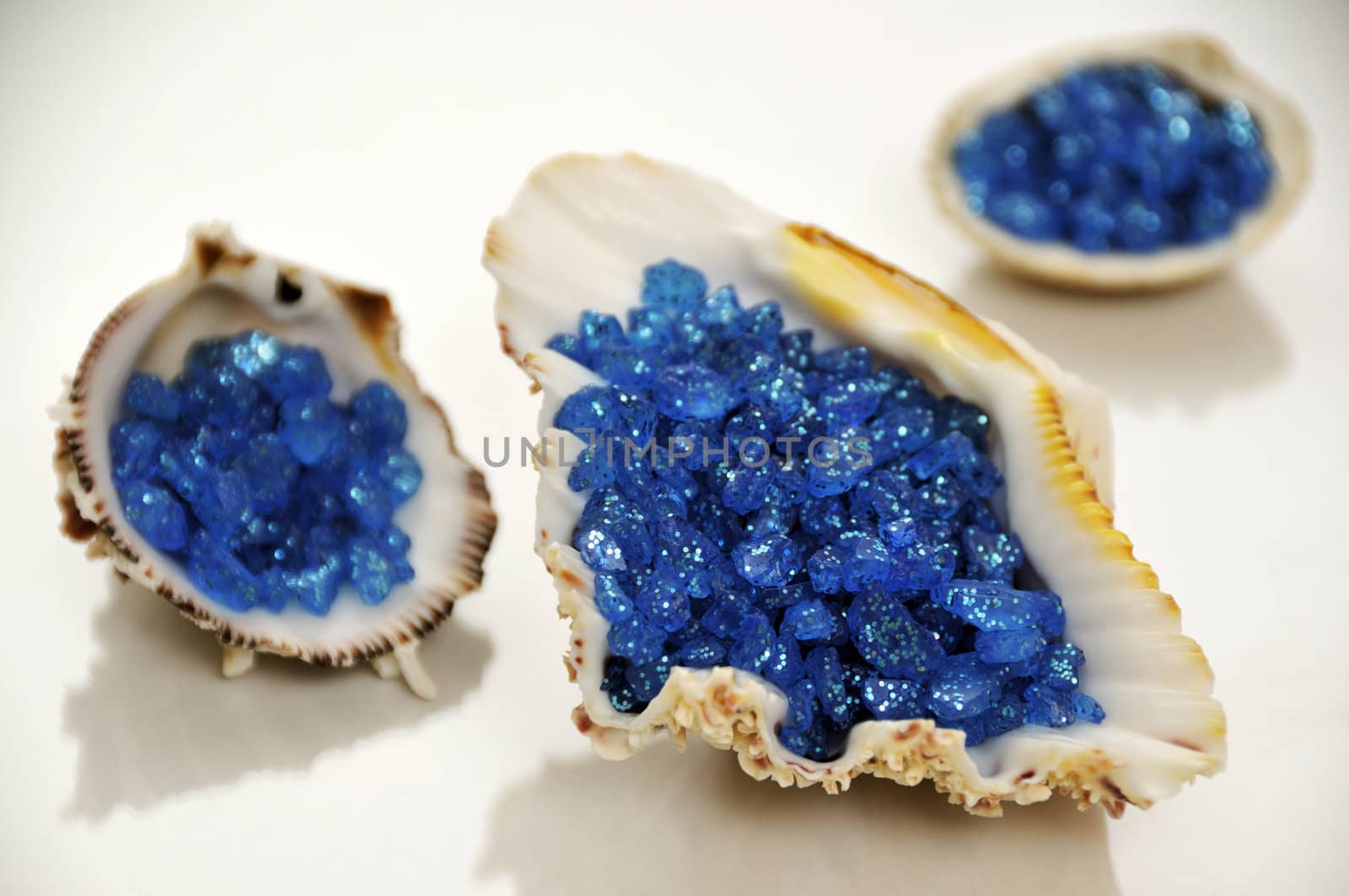 Blue bath salt in sea shells, isolated on white