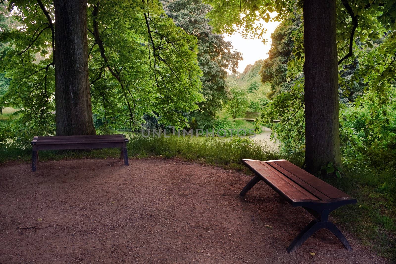 Two benches in a park before sunset