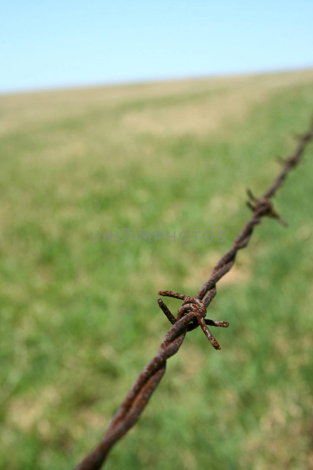 Rusty barbed wire fence in the field. Shallow depth of field.