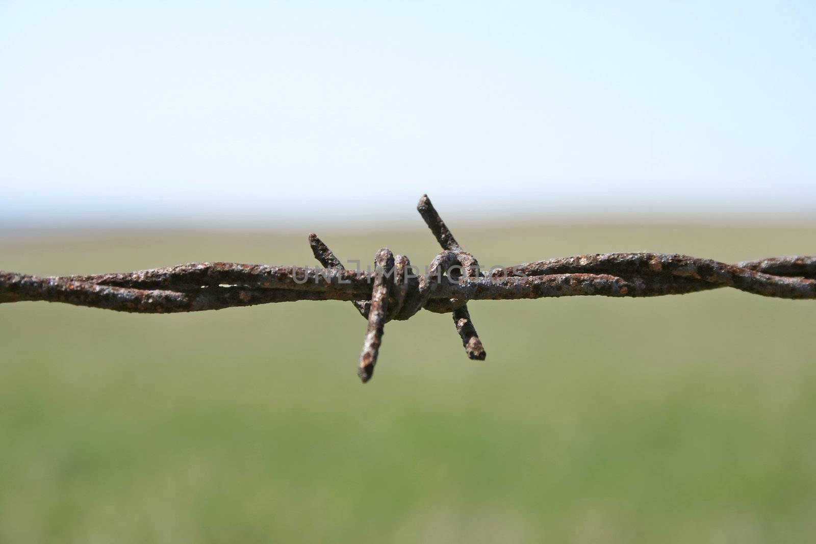 Rusty barbed wire macro. Shallow depth of field with blurry field and sky in the background.