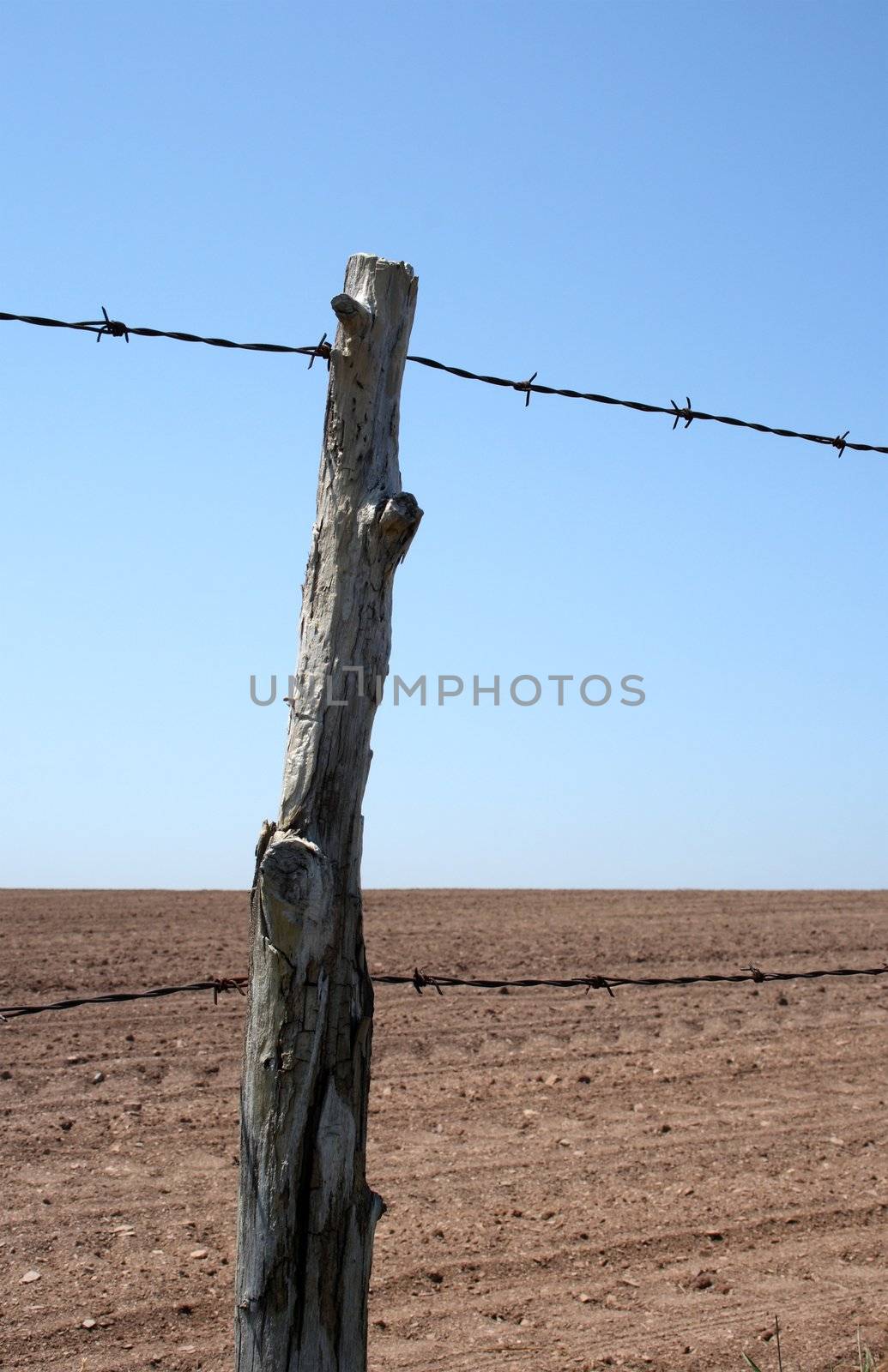 Old barbed wire farm fence by anikasalsera