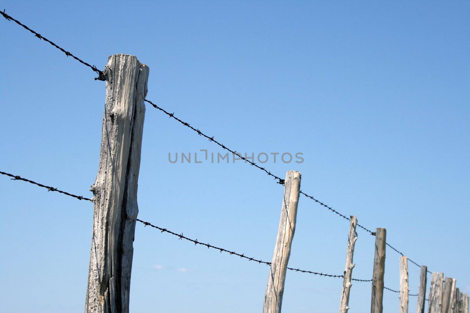 Barbed wire farm fence against blue sky by anikasalsera