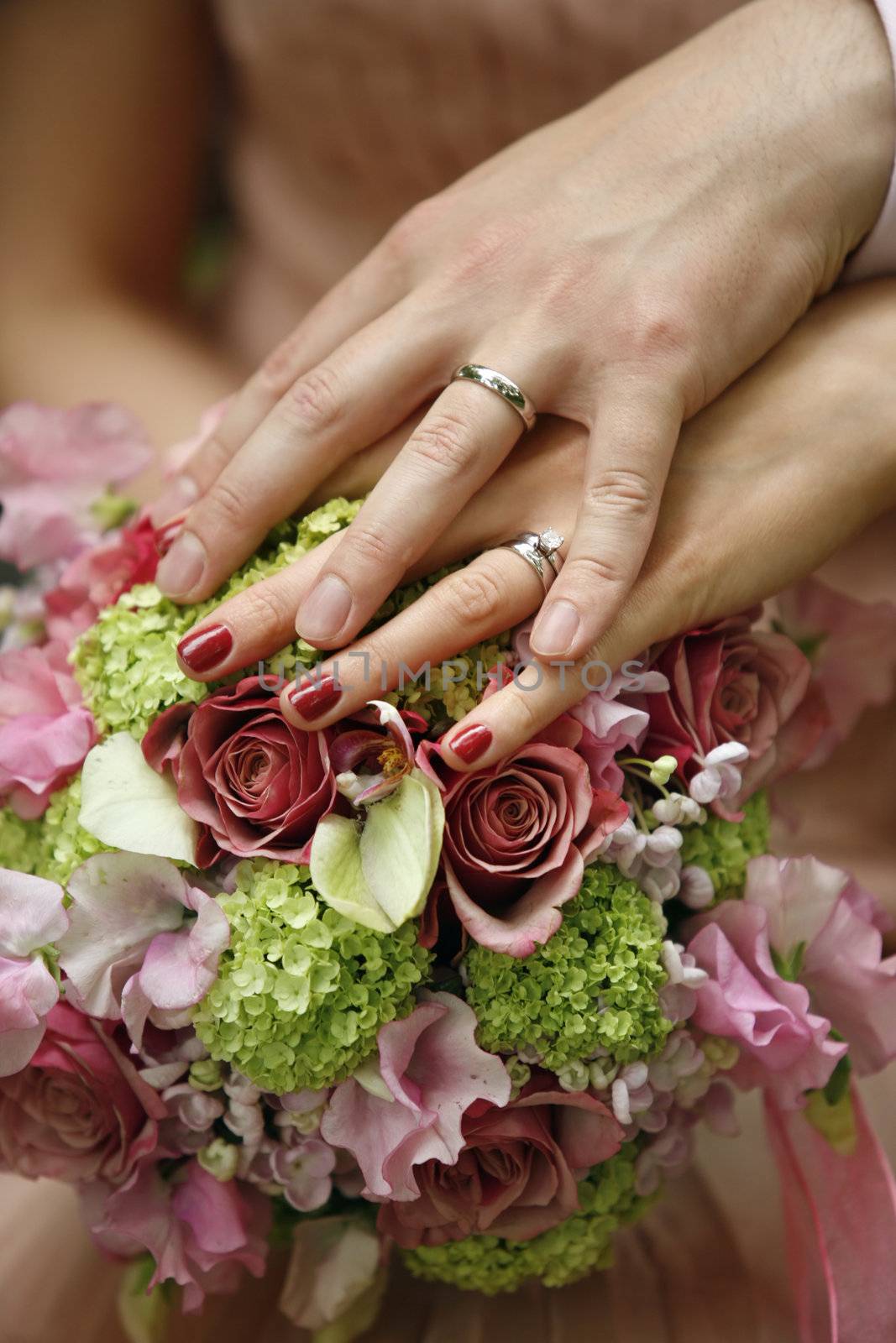 Hand of the groom and the bride with wedding rings